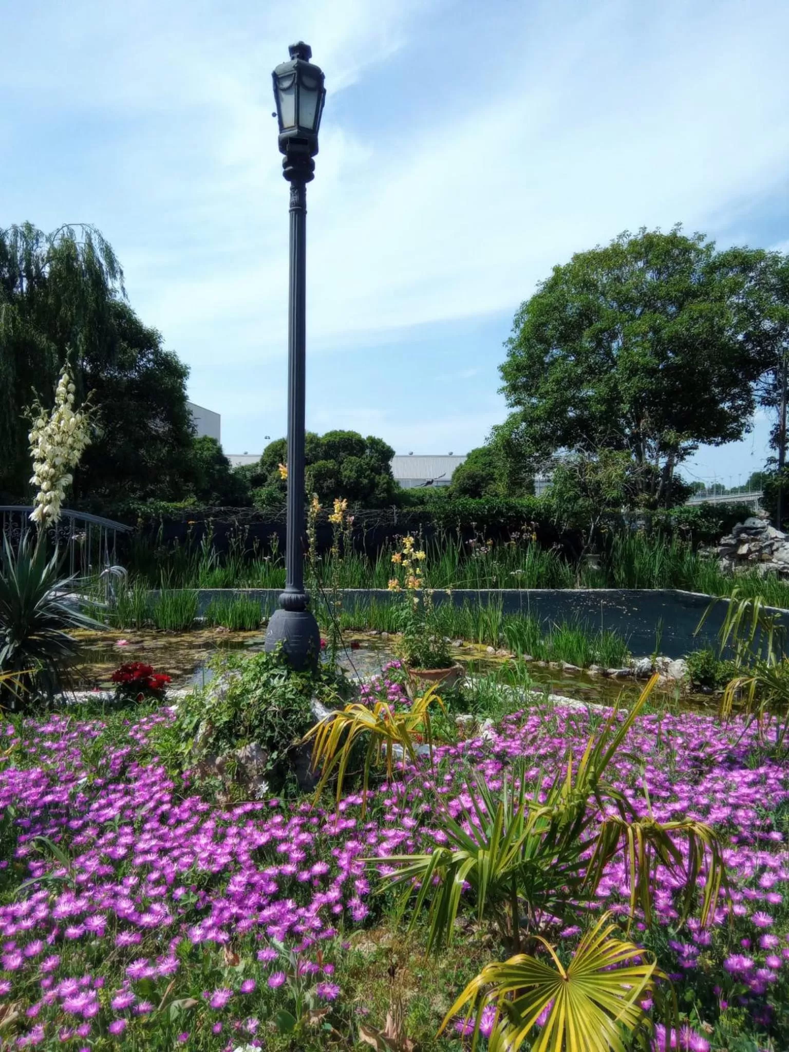 Garden in Villa Fiorita