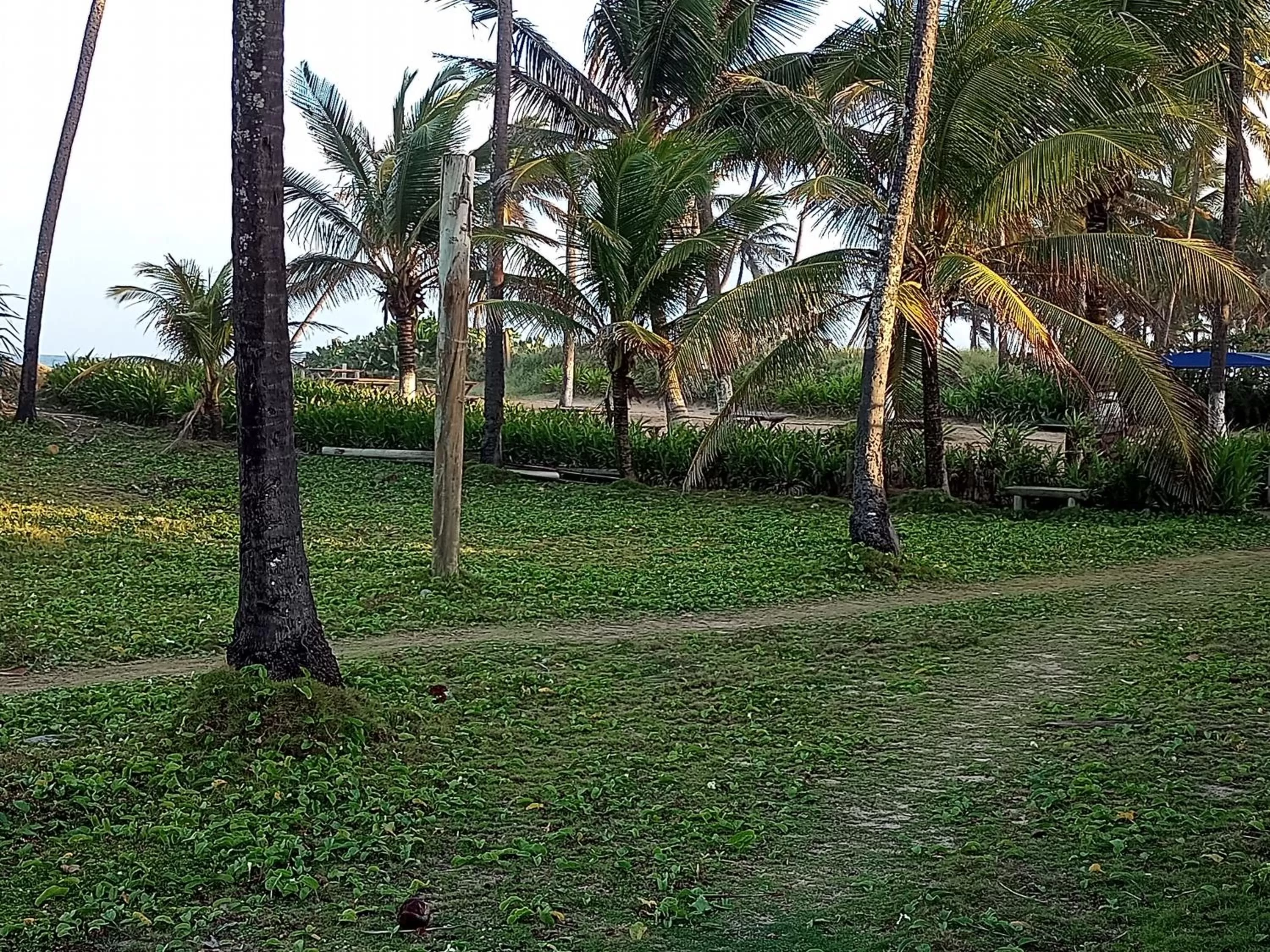 Natural landscape in Pousada Villa Encantada LGBTQIAPlus