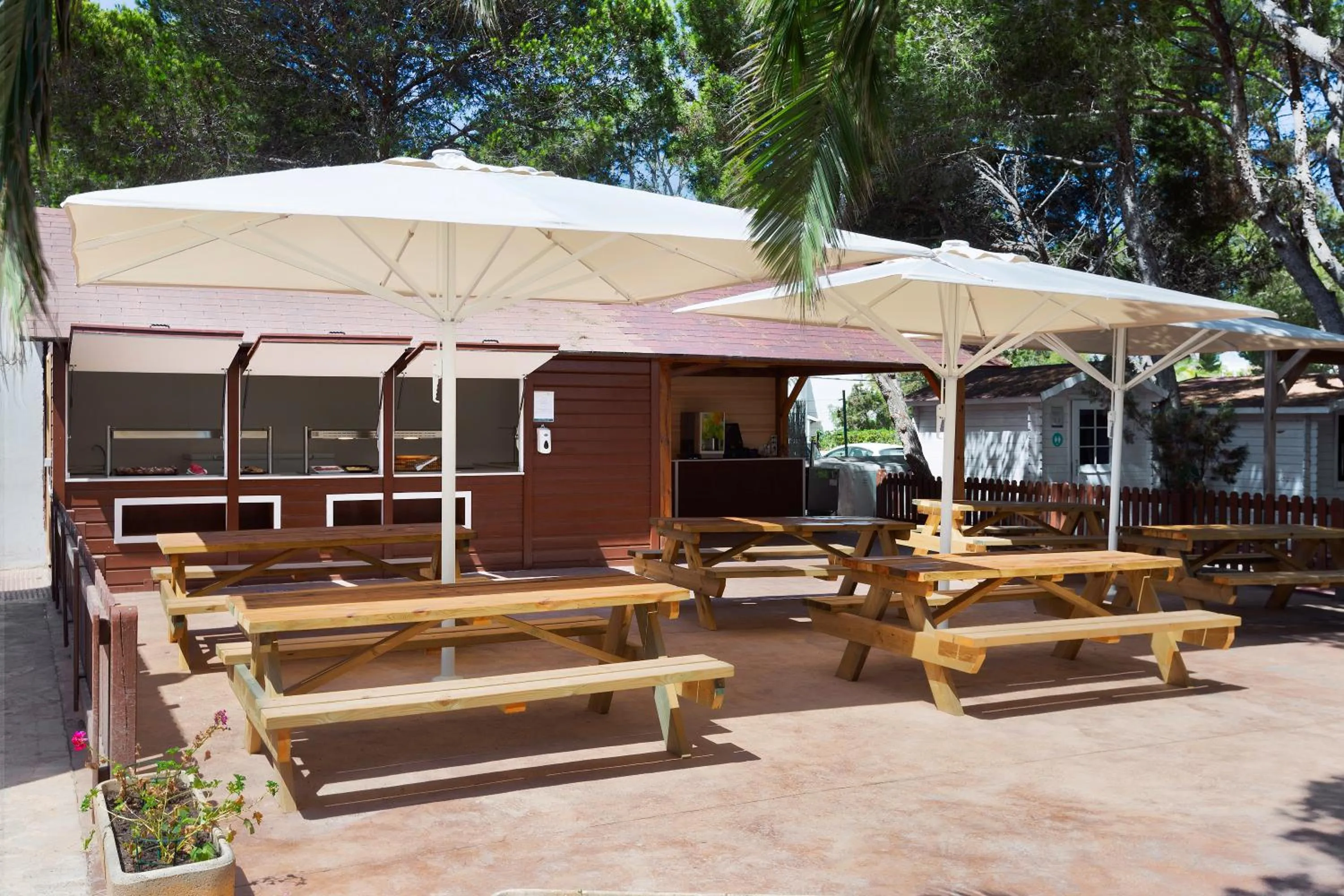 Restaurant/places to eat in Alua Suites Las Rocas