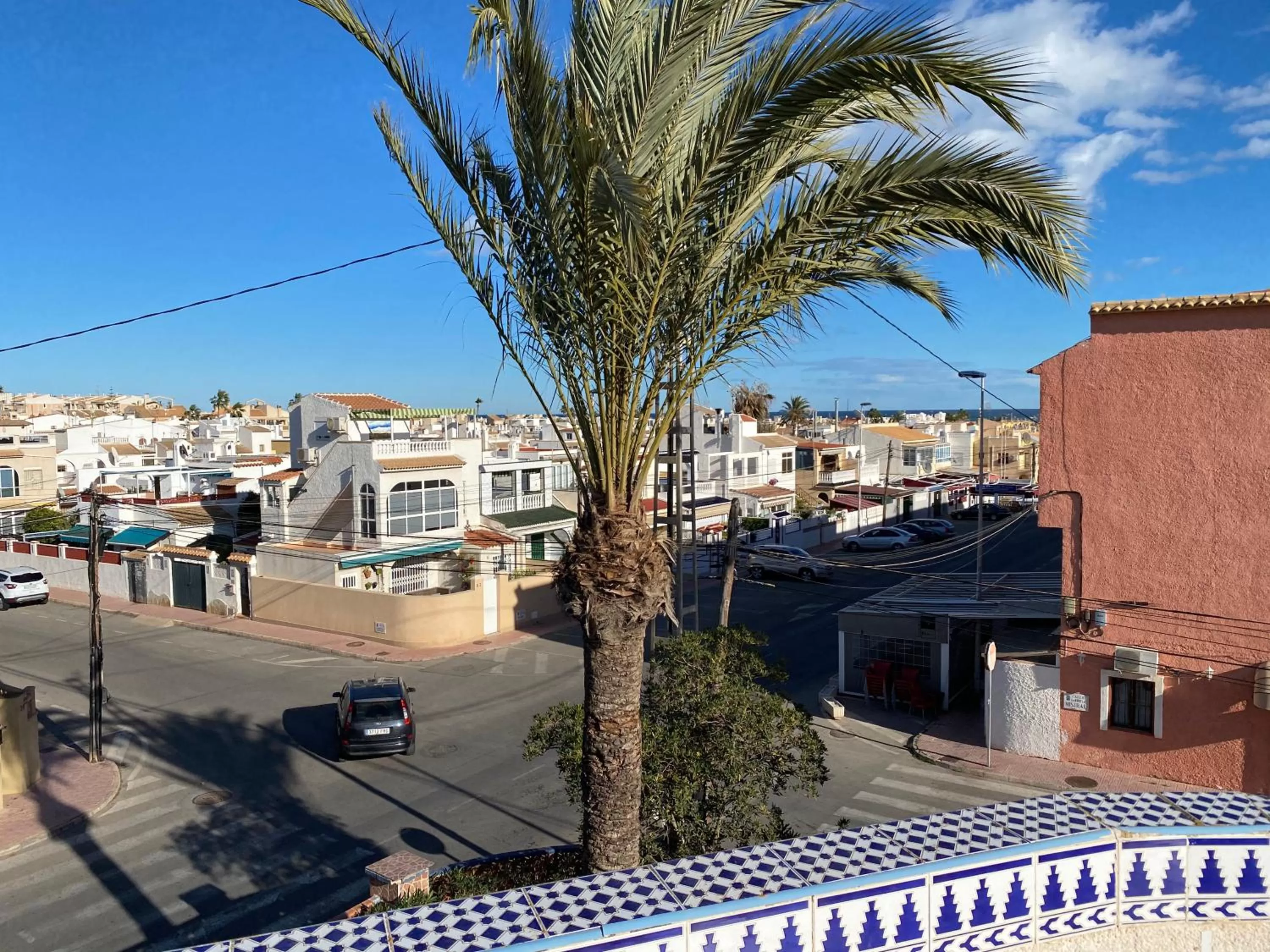 Street view in Anna's garden