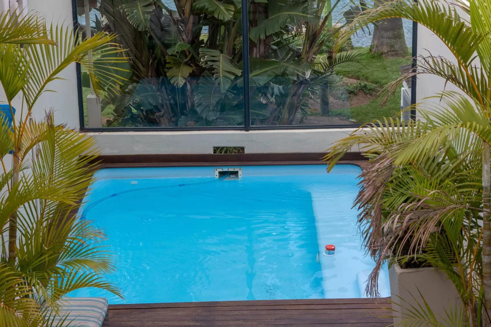 Swimming pool in MyPond Stenden Hotel