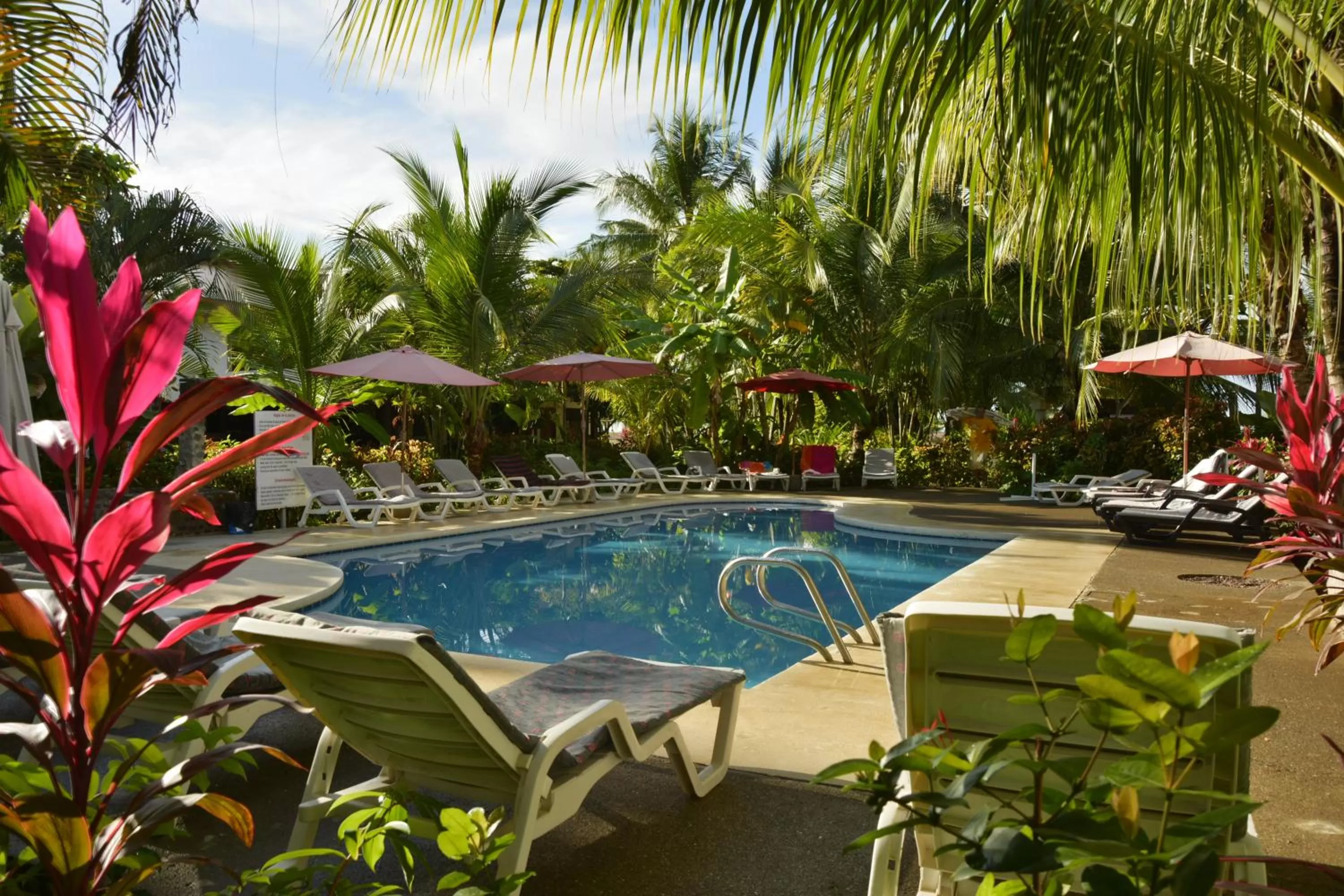 Garden in Hotel Pochote Grande