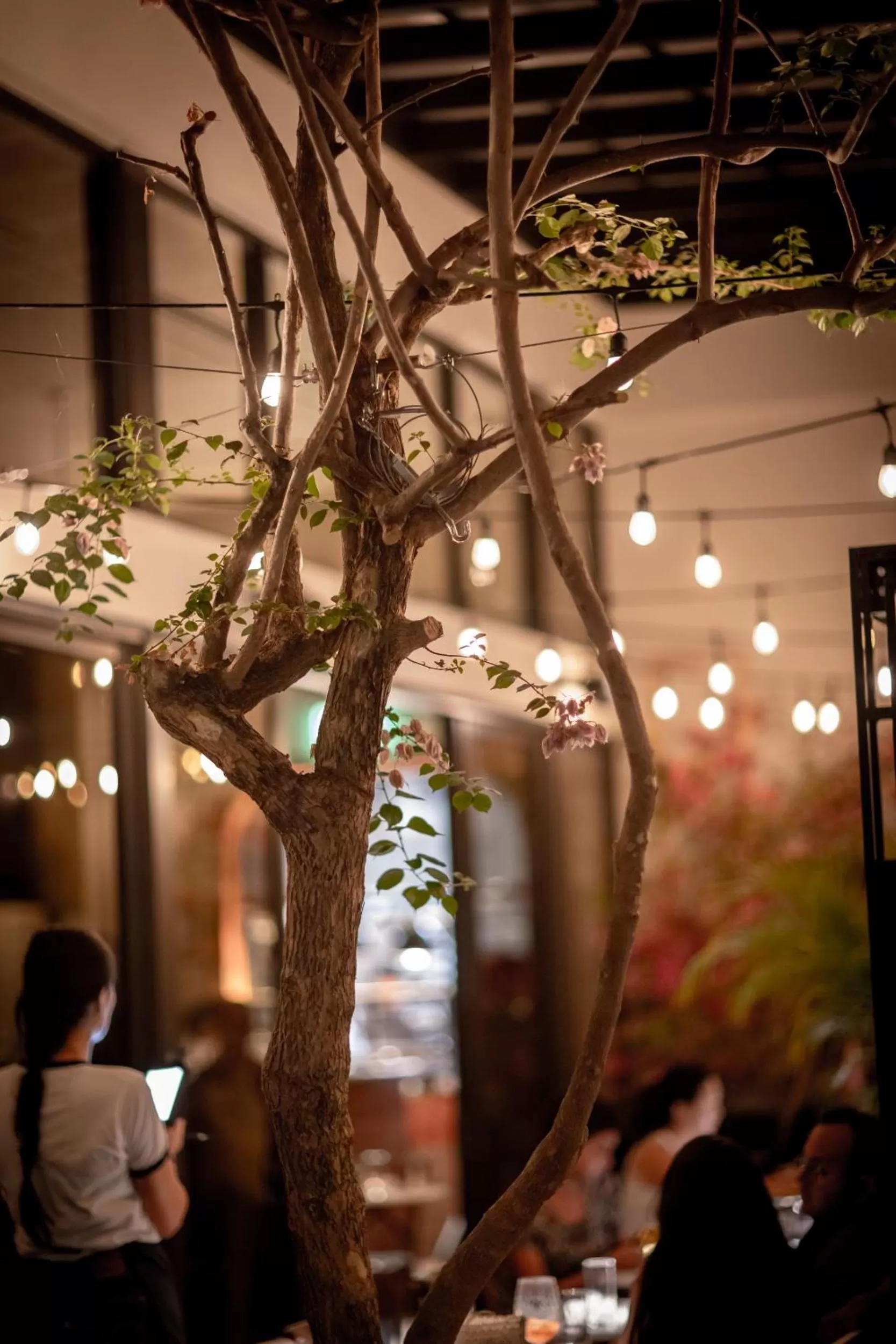 Facade/entrance in Urbanica Fifth