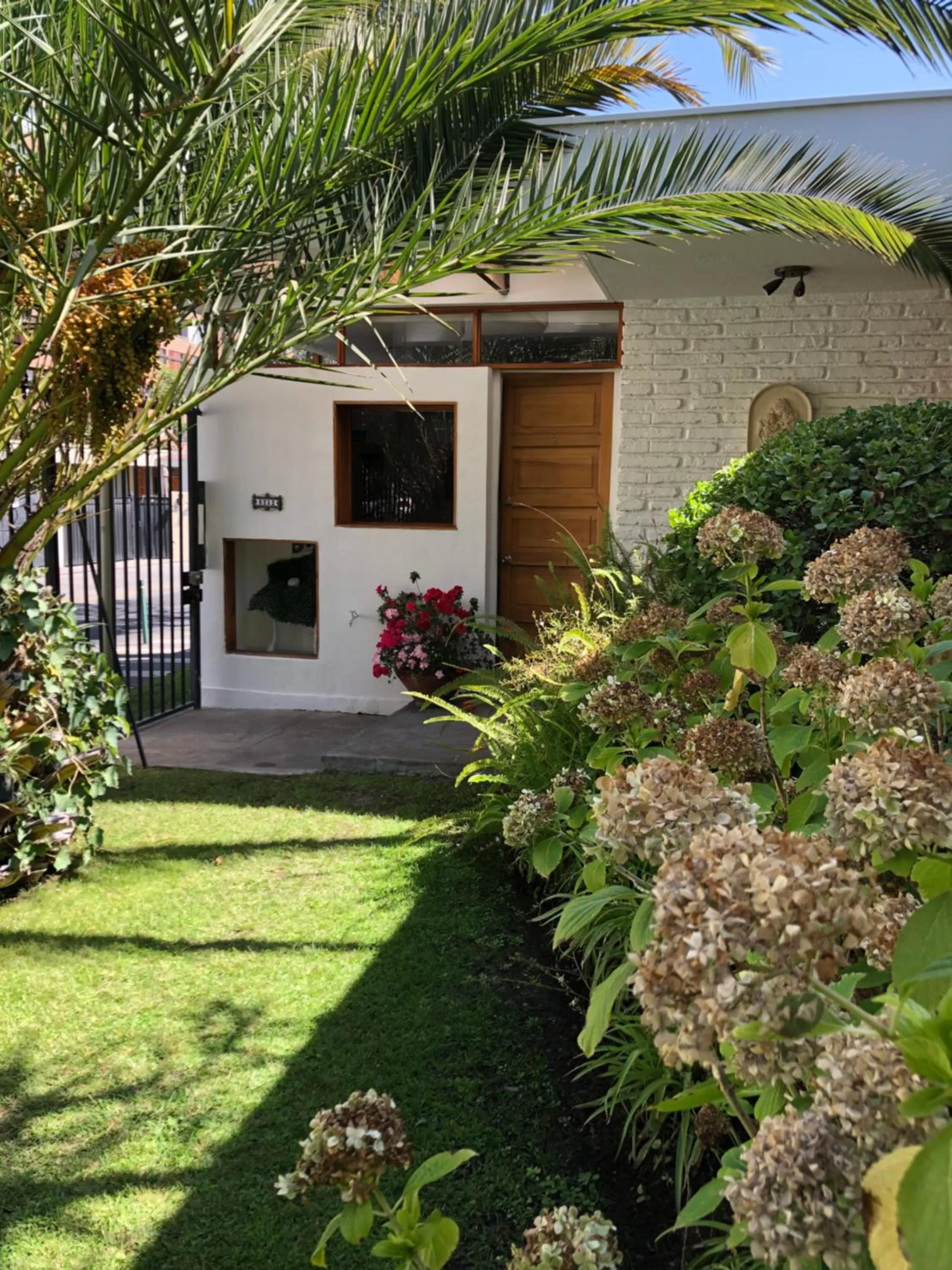 Garden in Rent apart Las Condes