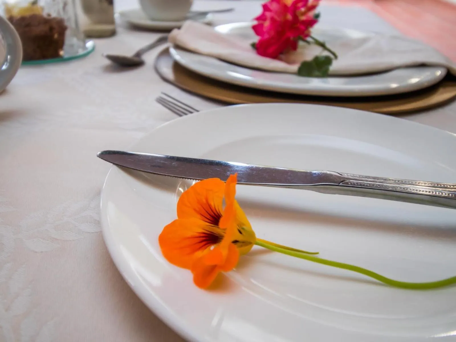 Dining area in Villa Amor