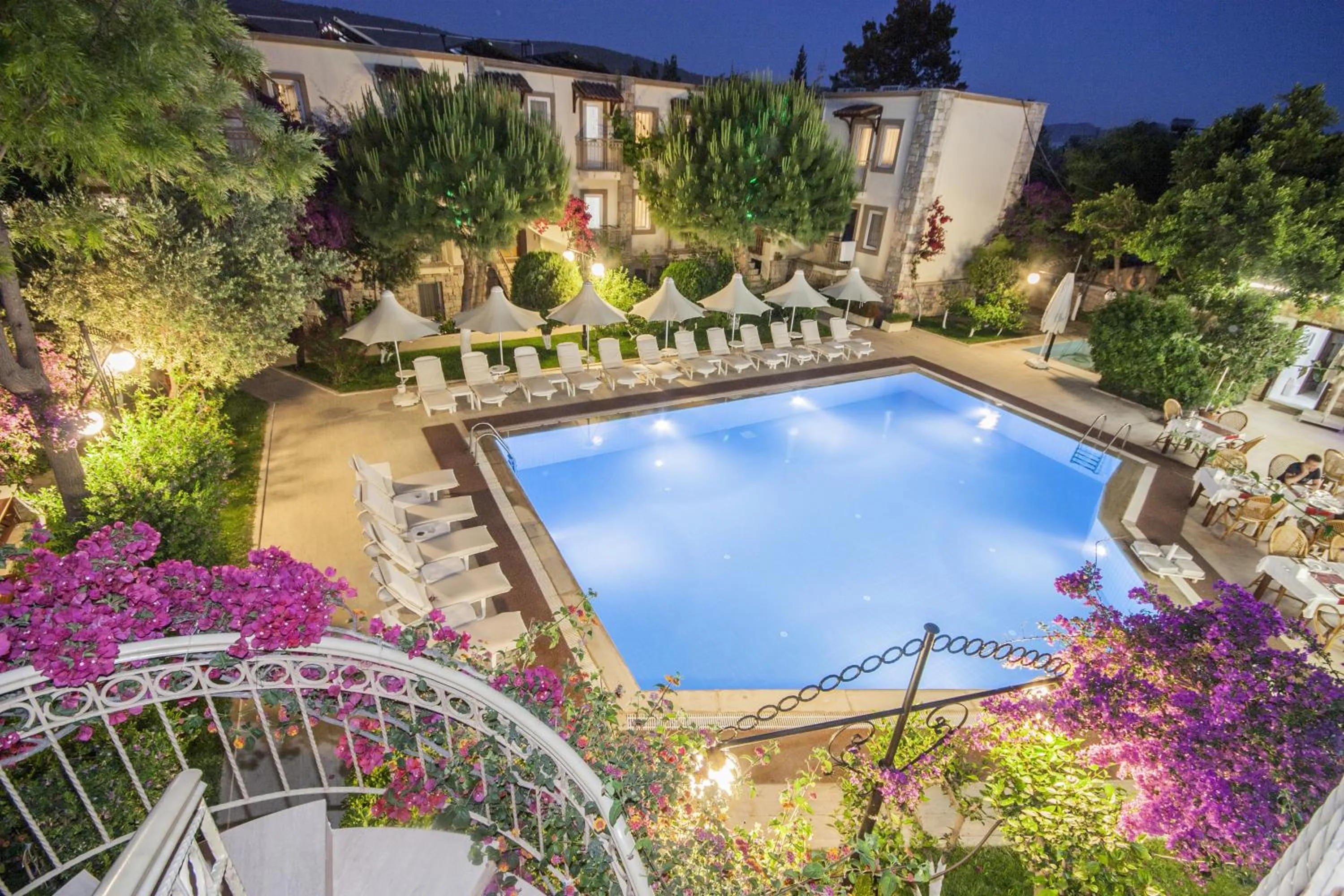 Night in Moonshine Hotel & Suites