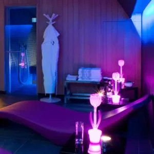 Spa and wellness centre/facilities, Bed in Hôtel Quatorze