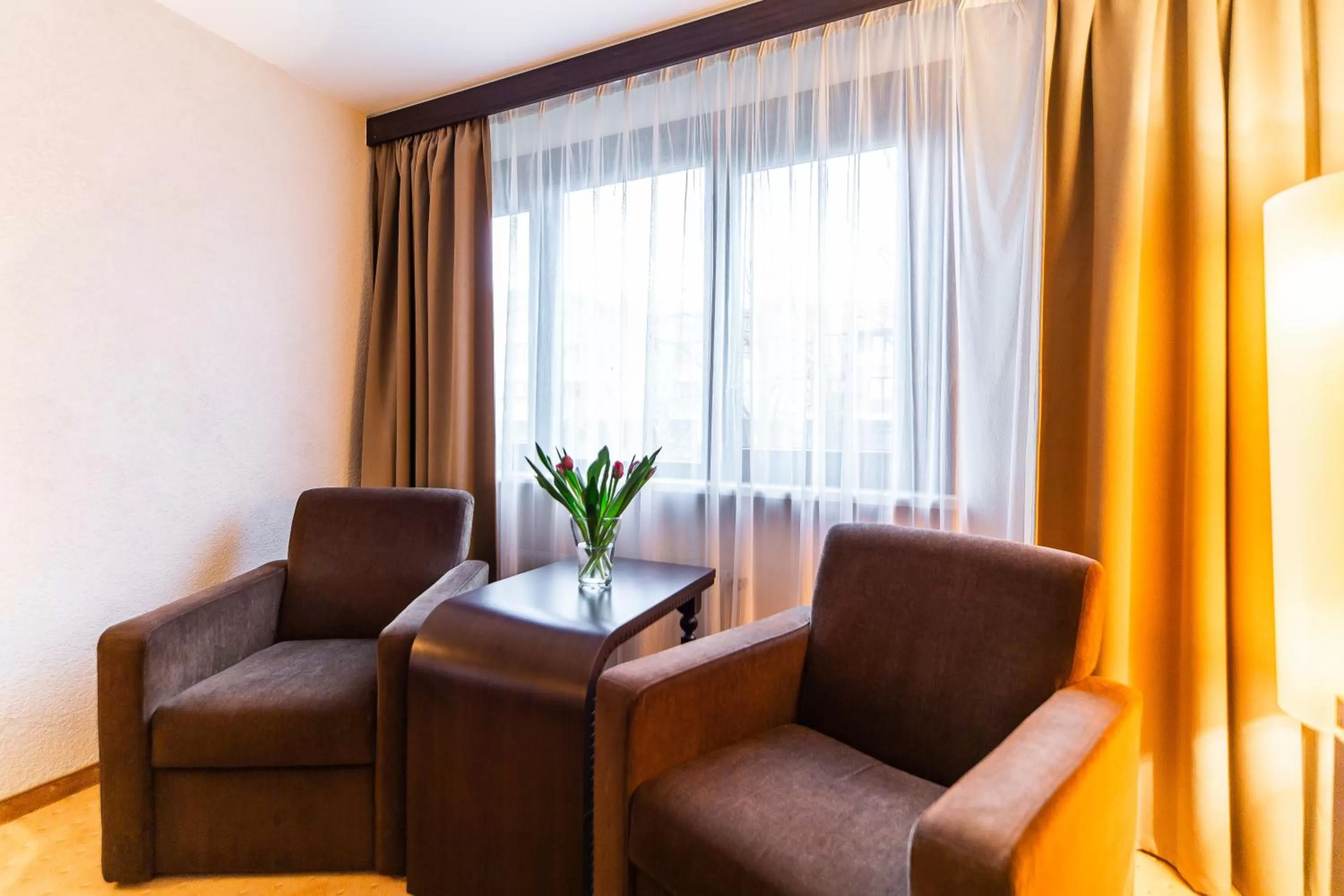 Seating area in Hotel Solny