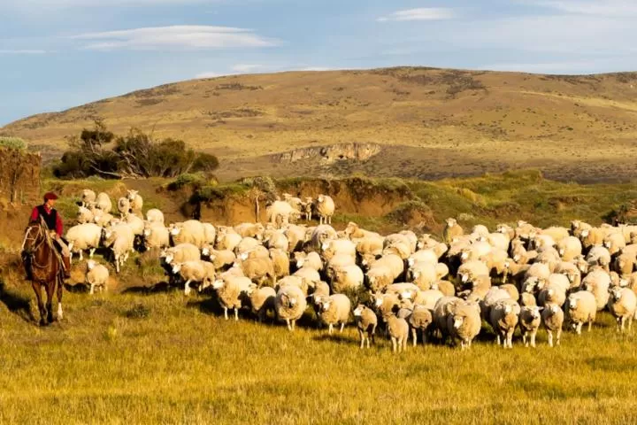 Hostería El Galpón Del Glaciar