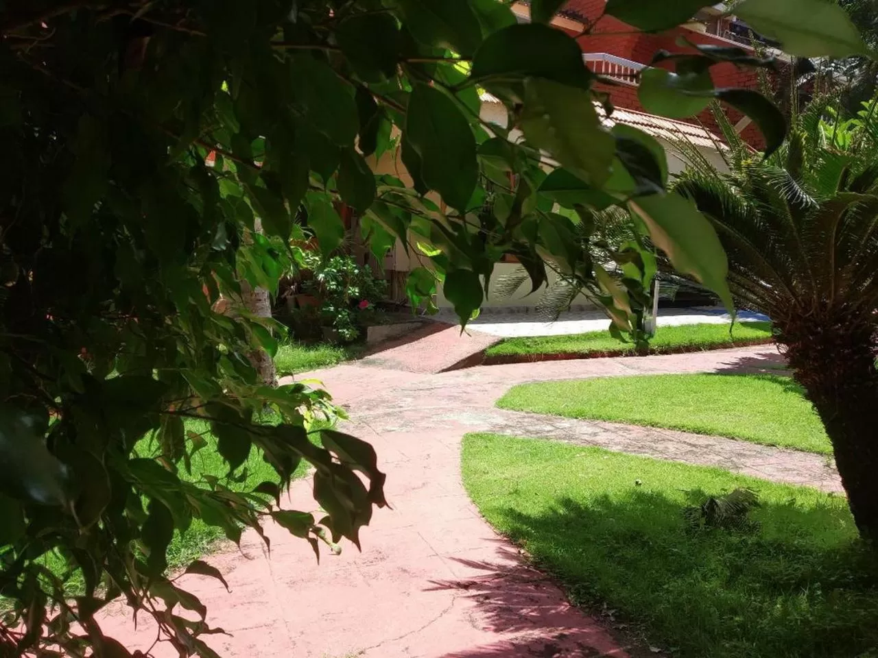 View (from property/room) in Hotel Thushara