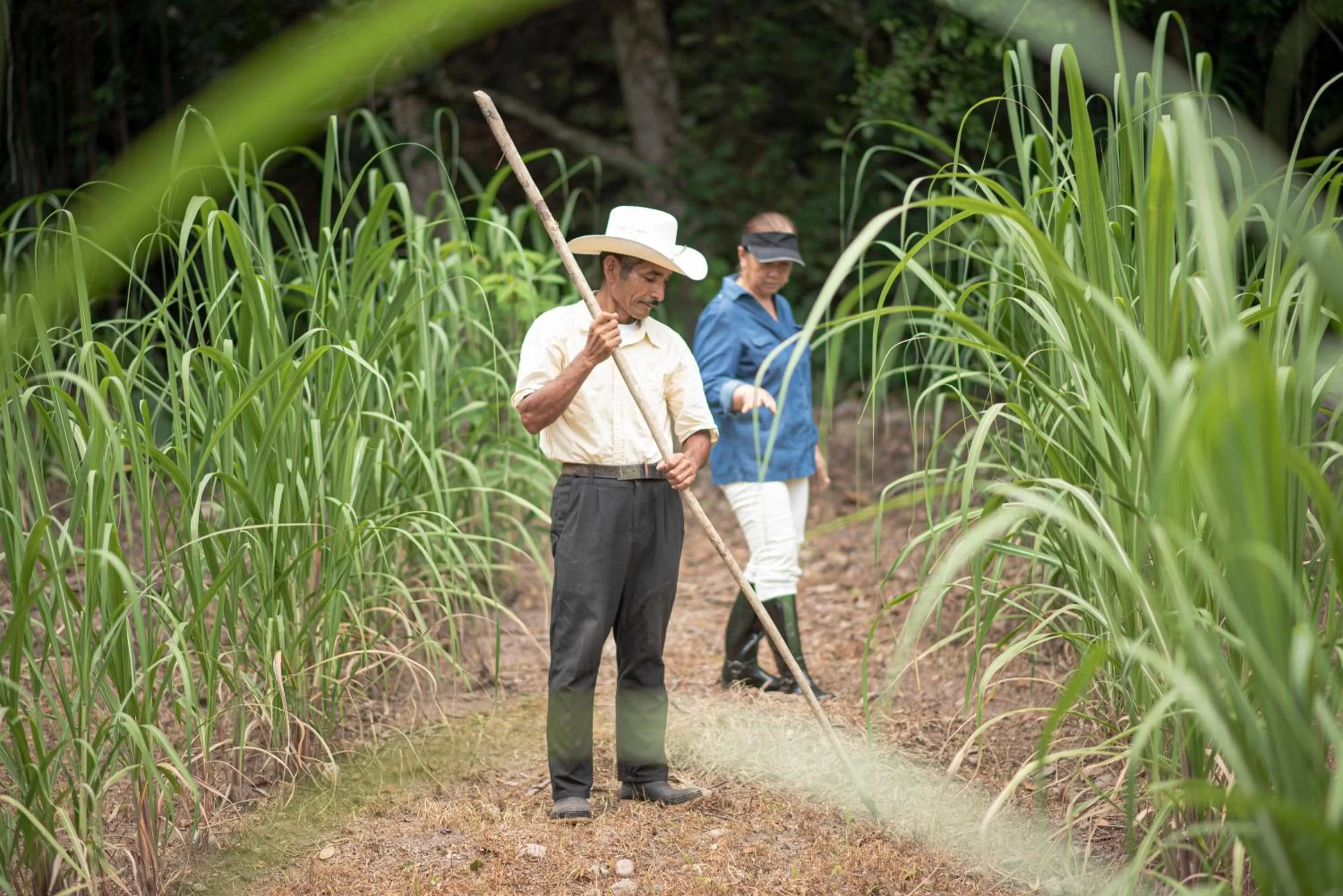 Other in Hotel de Campo Villa de Ada