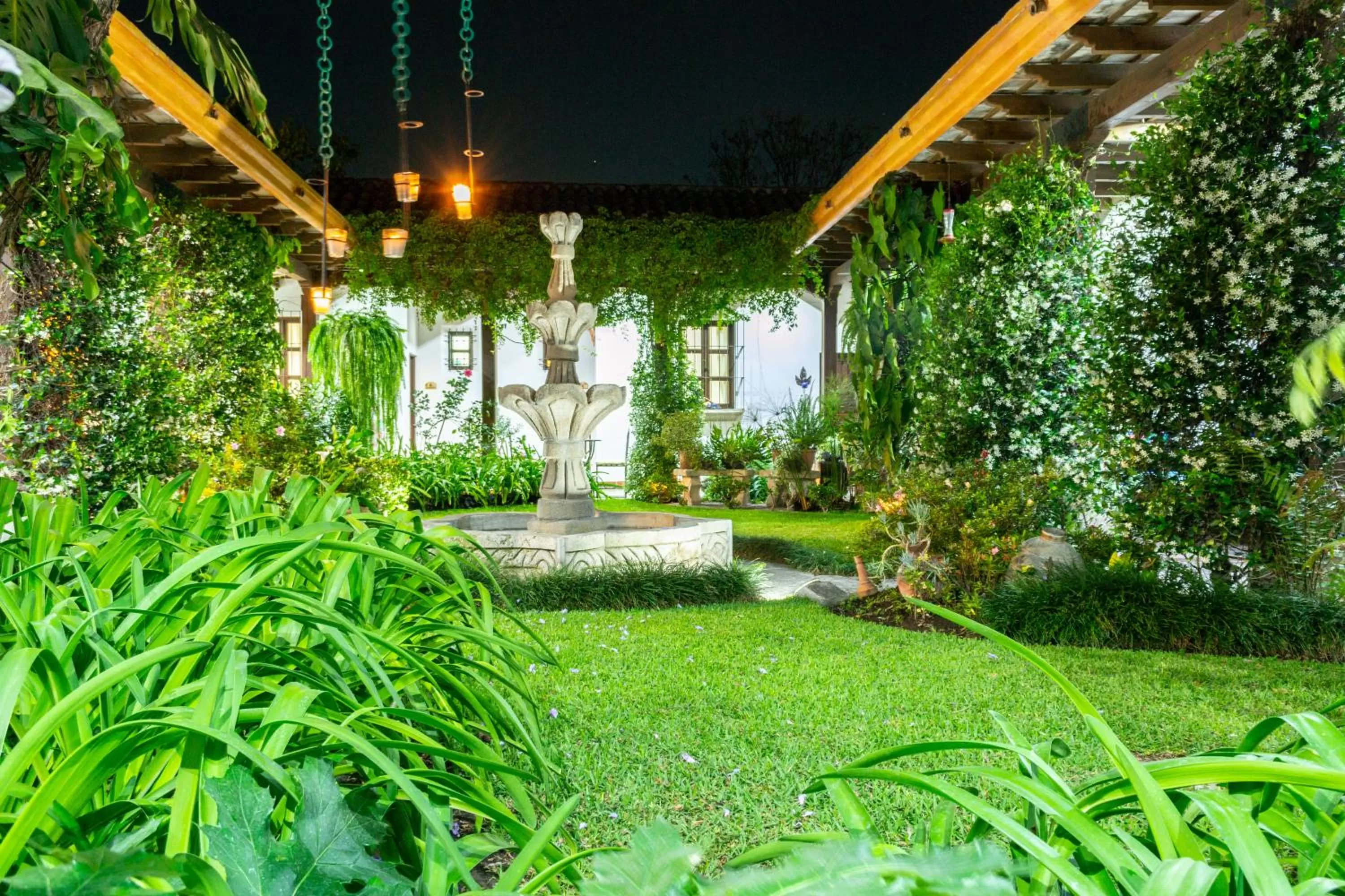 Garden in Hotel Las Marias