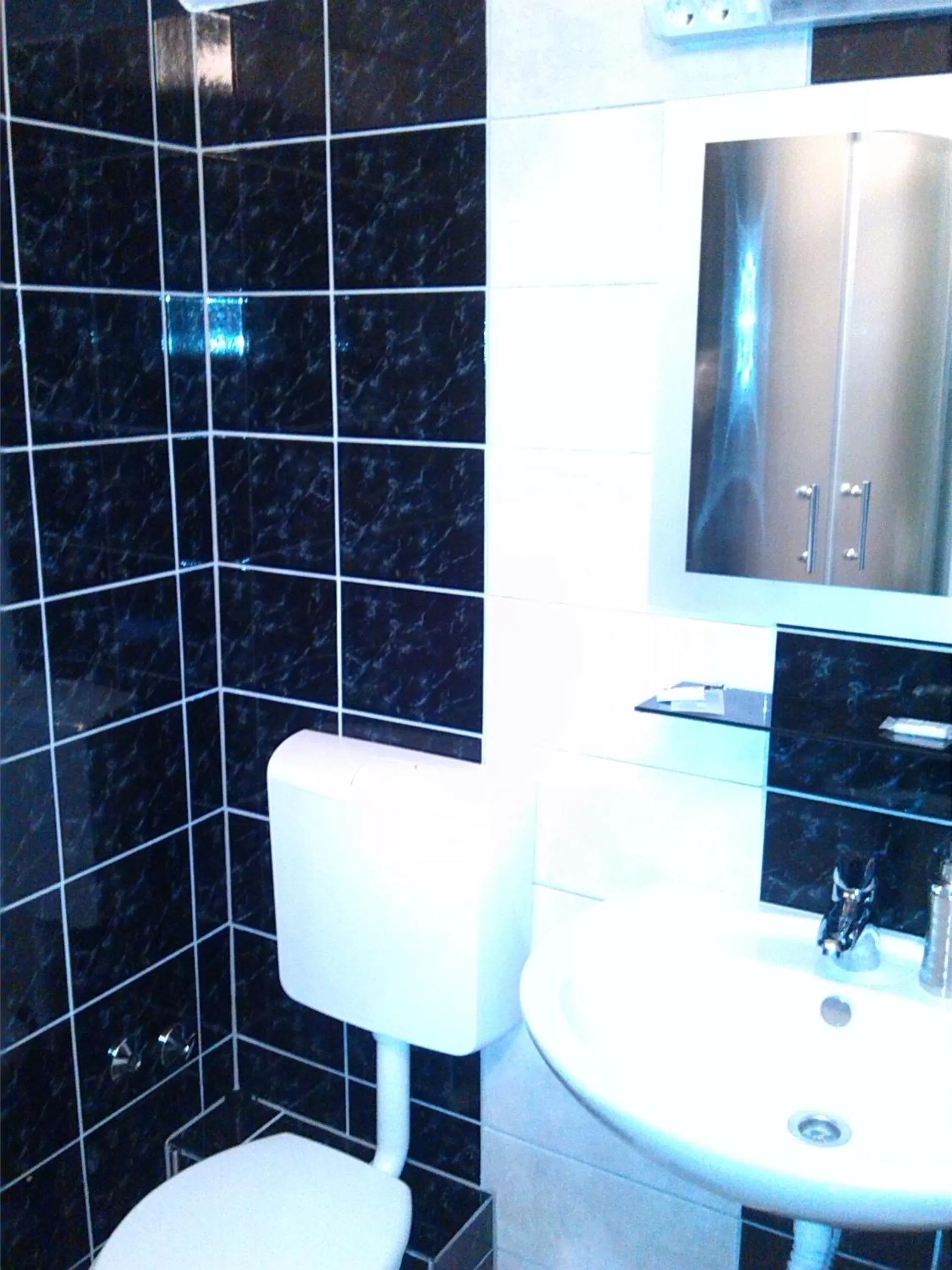 Toilet in Motel Maks