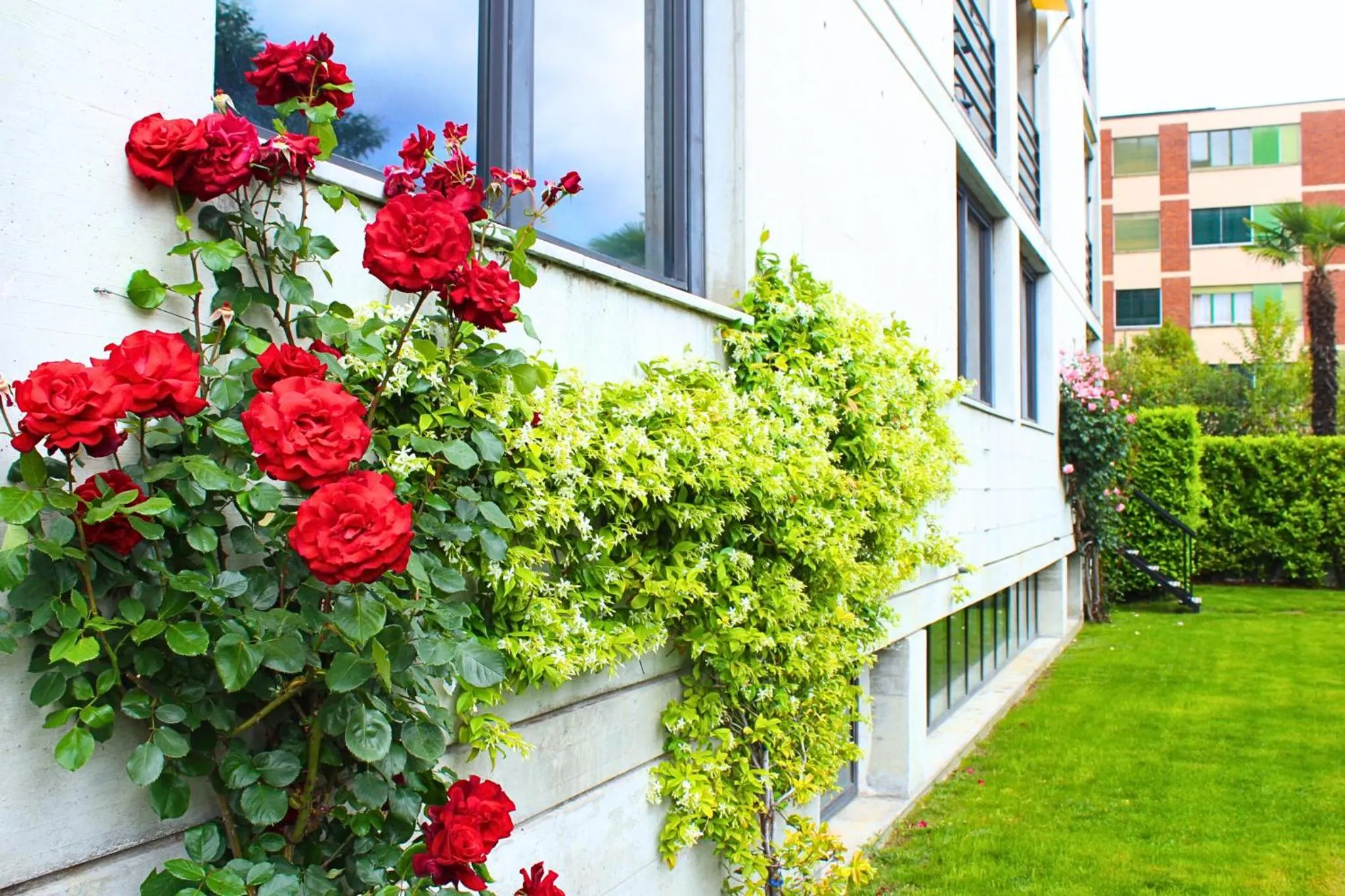 Day in Hotel Nessi Locarno