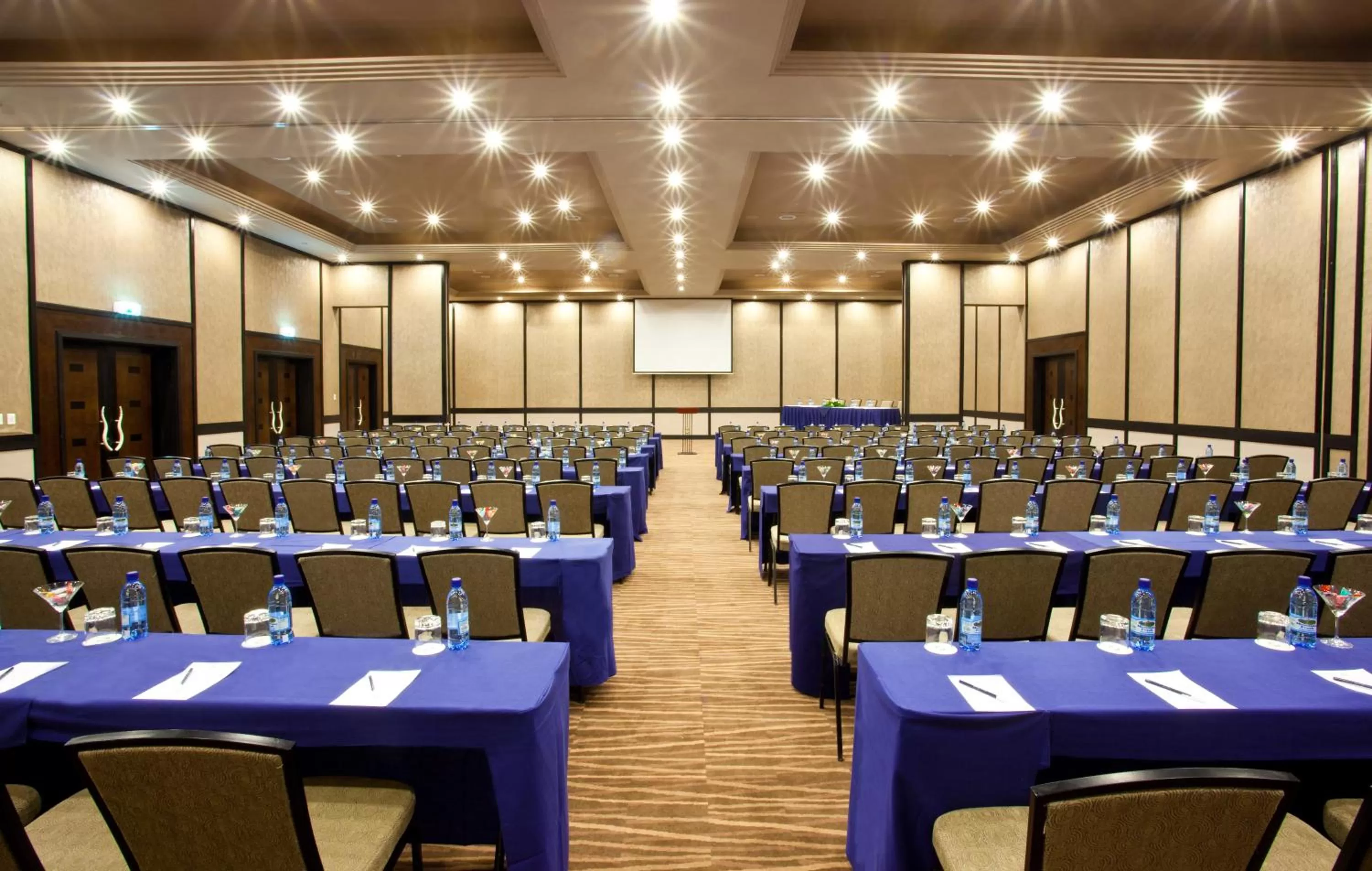 Business facilities in Avani Lesotho Hotel & Casino