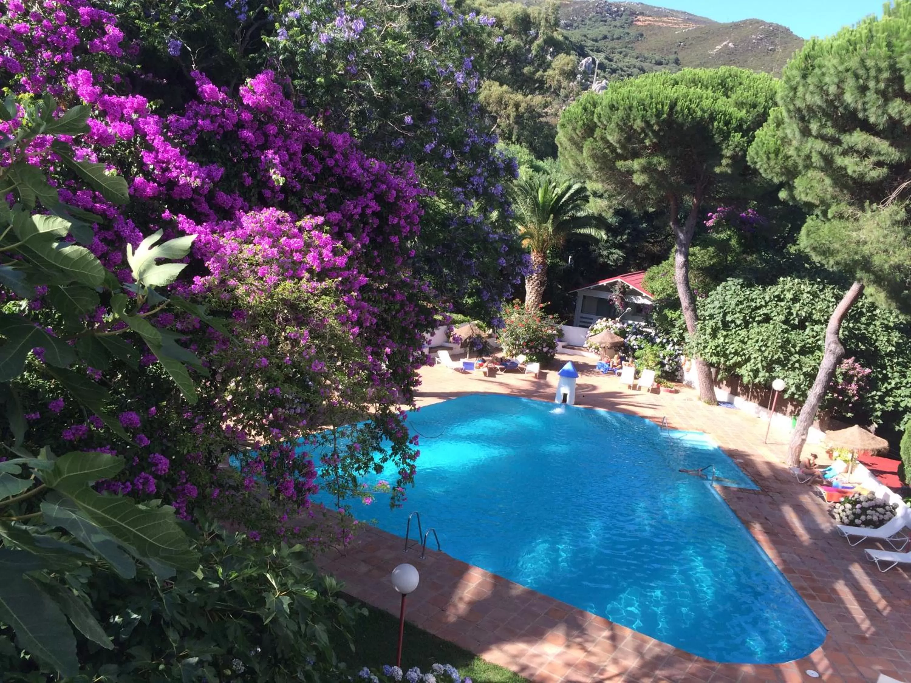 Swimming pool in Mesón de Sancho