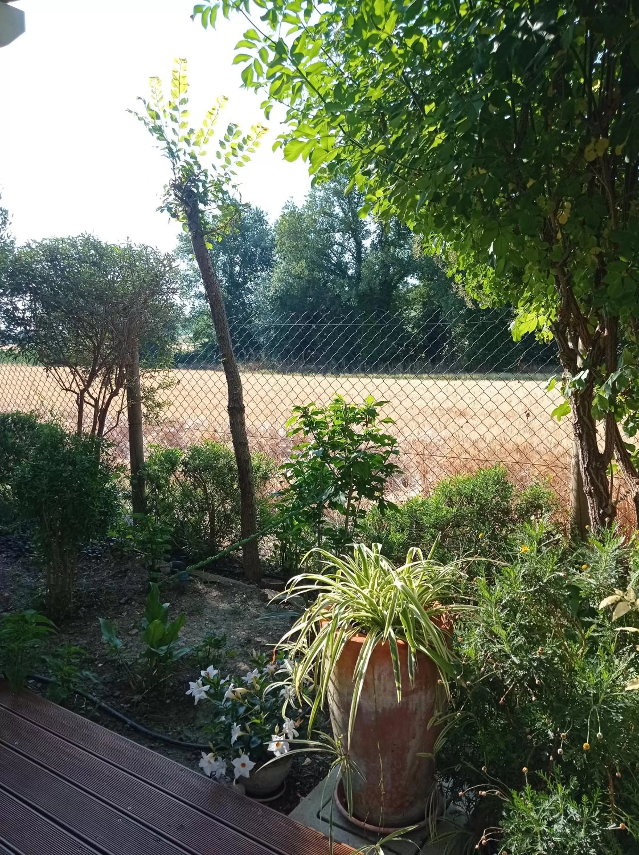 Garden in La Casa di Tara B&B Armonia e Natura