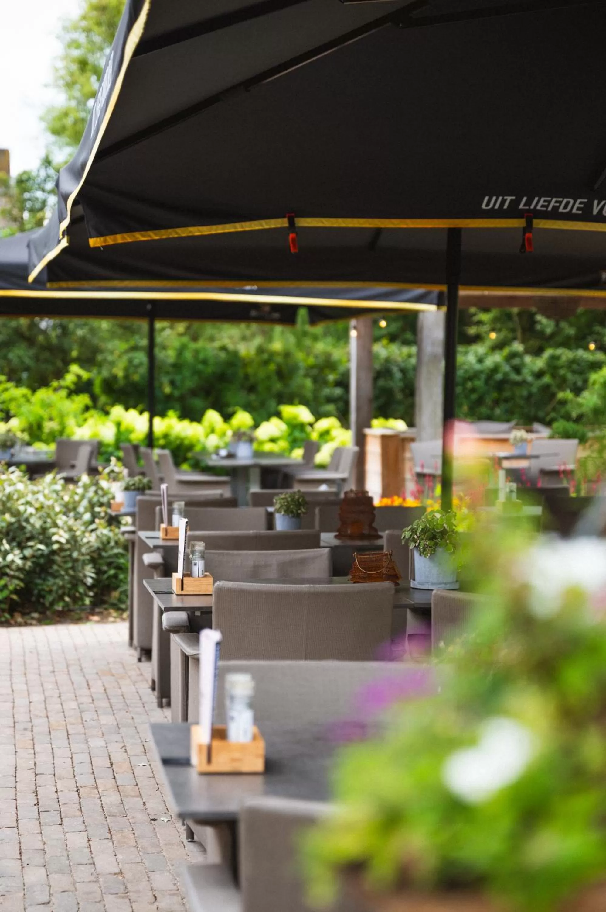 Restaurant/Places to Eat in Hotel-Herberg D'n Dries