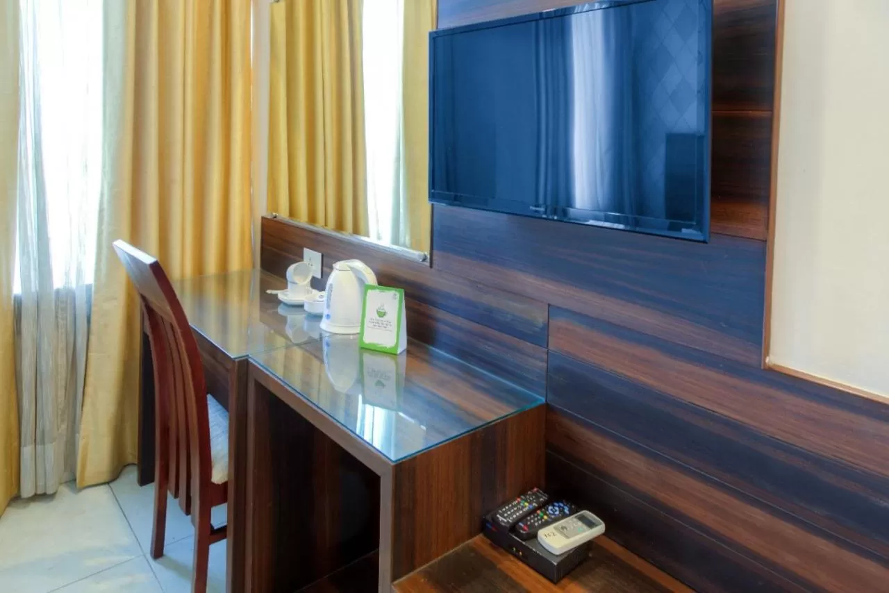 TV and multimedia in Hotel Dreamland Chandigarh