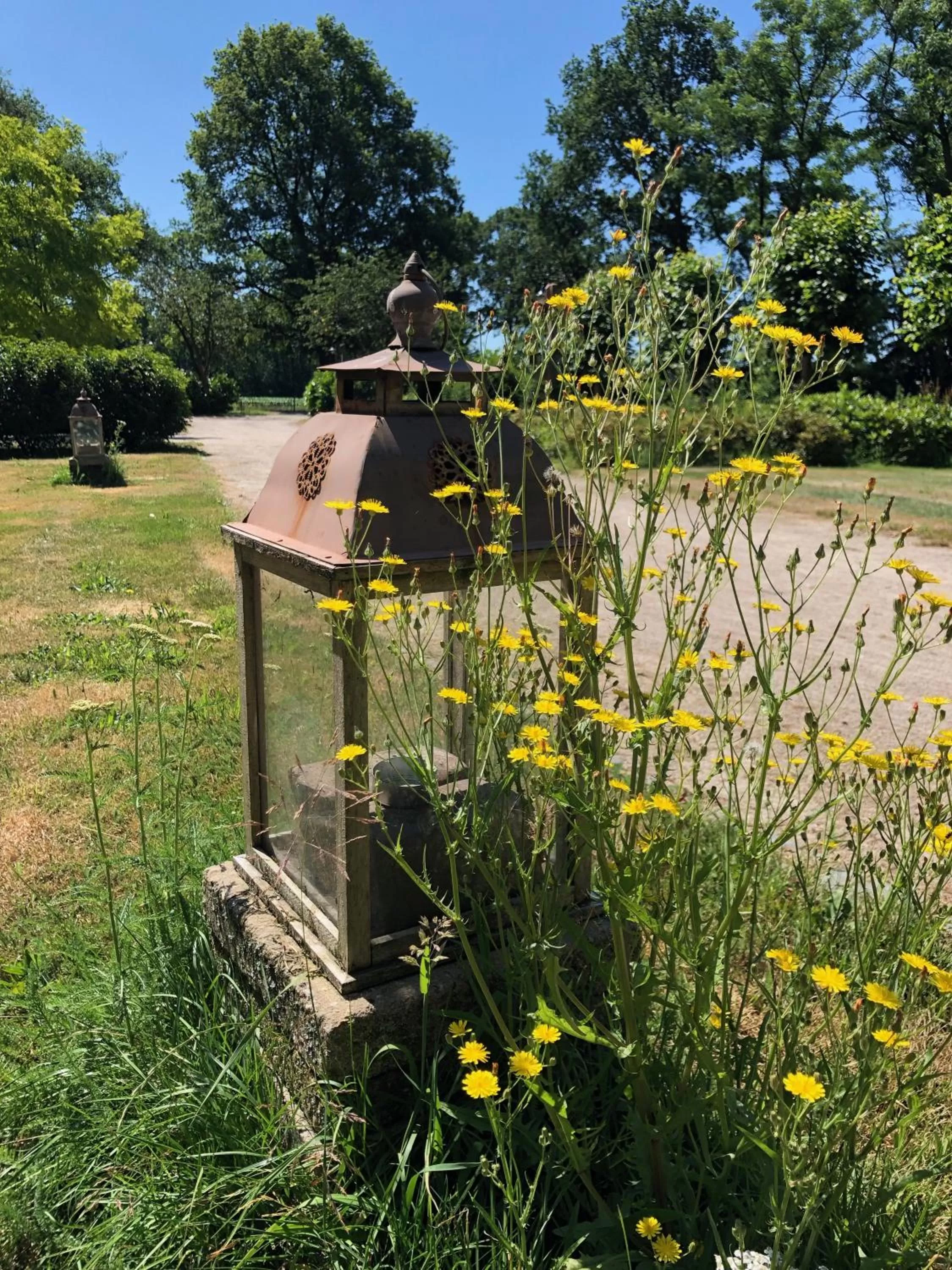 Garden in Hof van Eersel