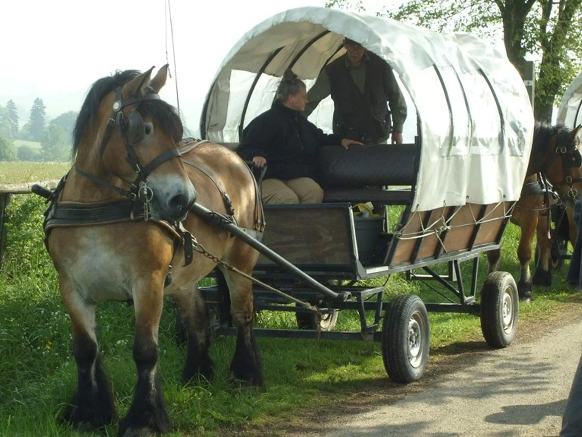Entertainment in B&B Willow Springs Way Station
