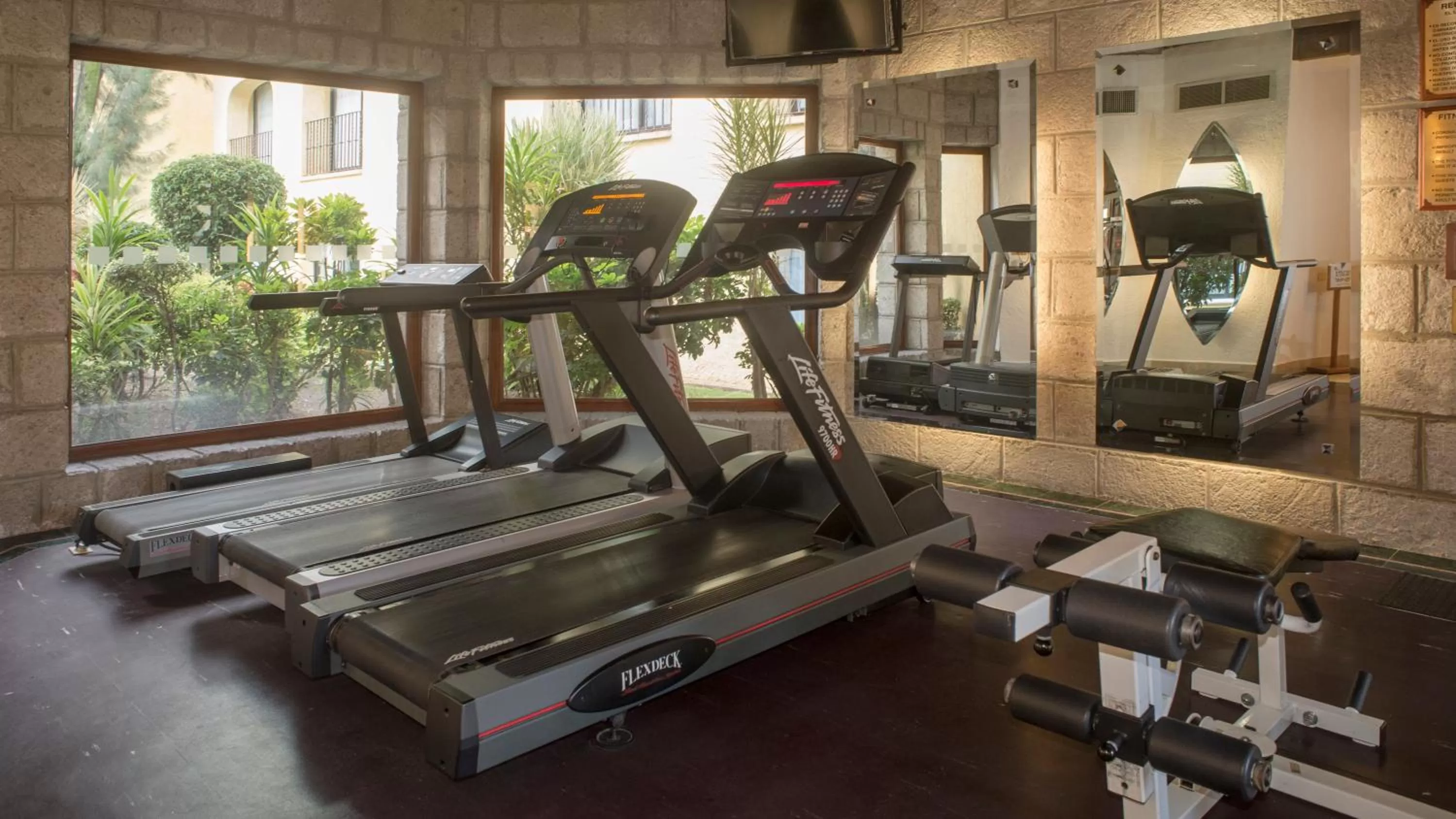 Fitness centre/facilities in Holiday Inn Queretaro Centro Historico by IHG
