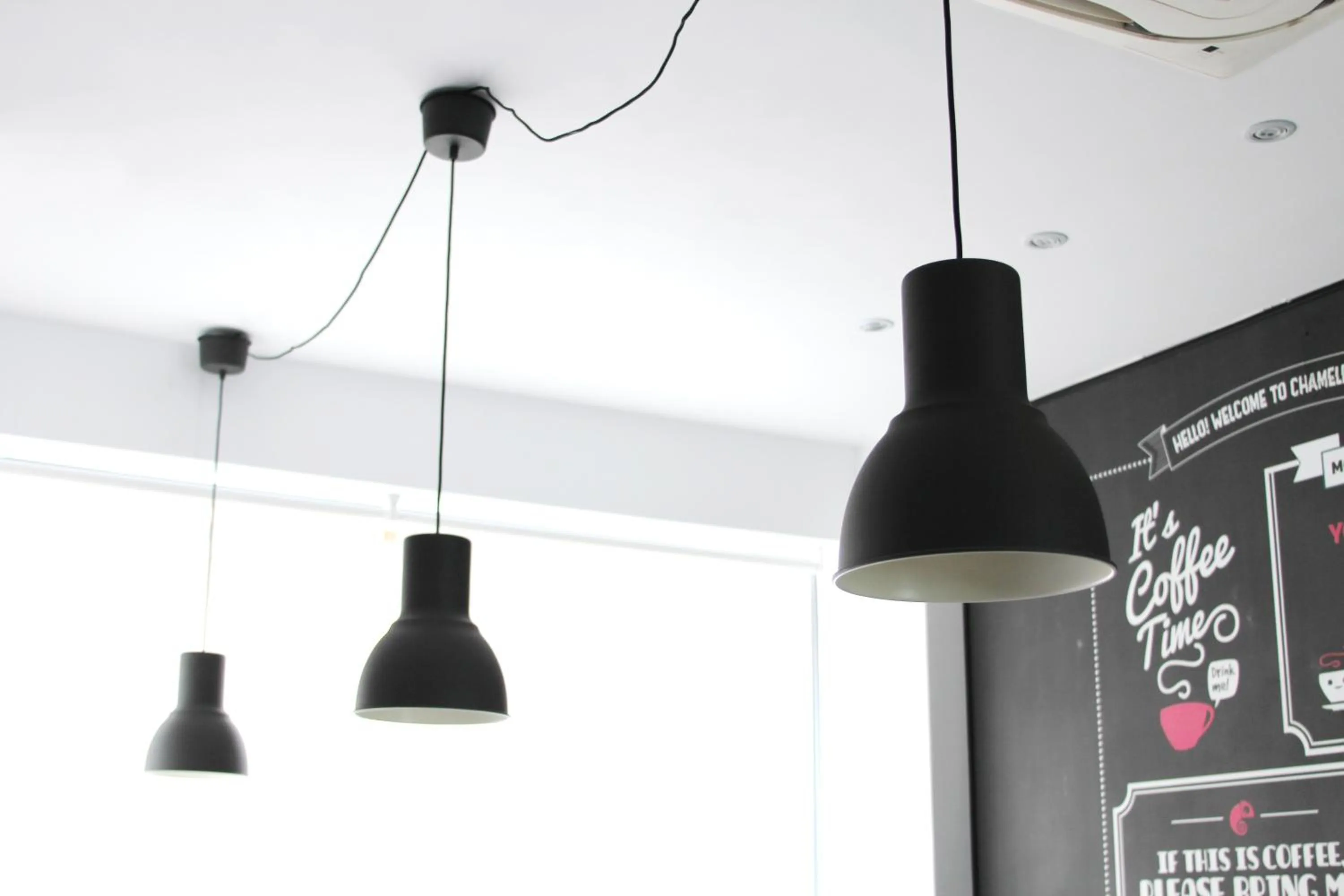 Lounge or bar in Chameleon Youth Hostel Alicante