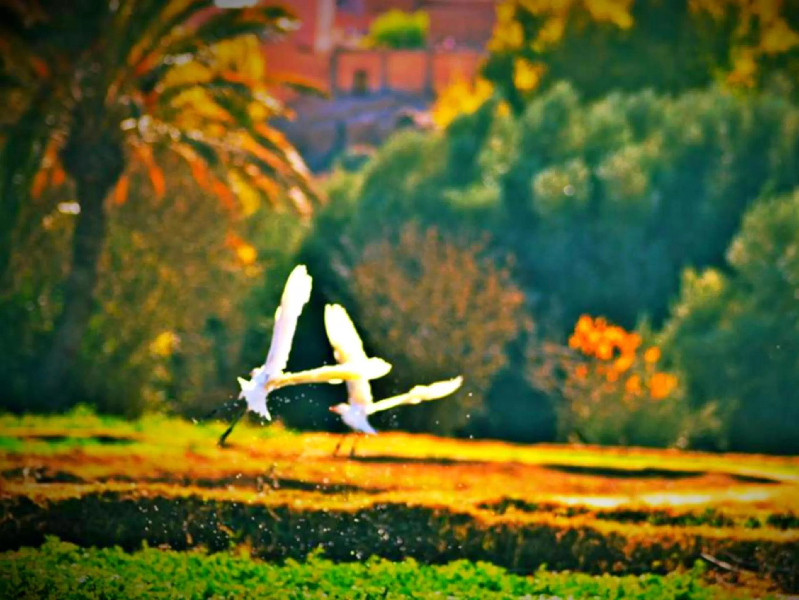 Hiking in Hotel Restaurant La Kasbah