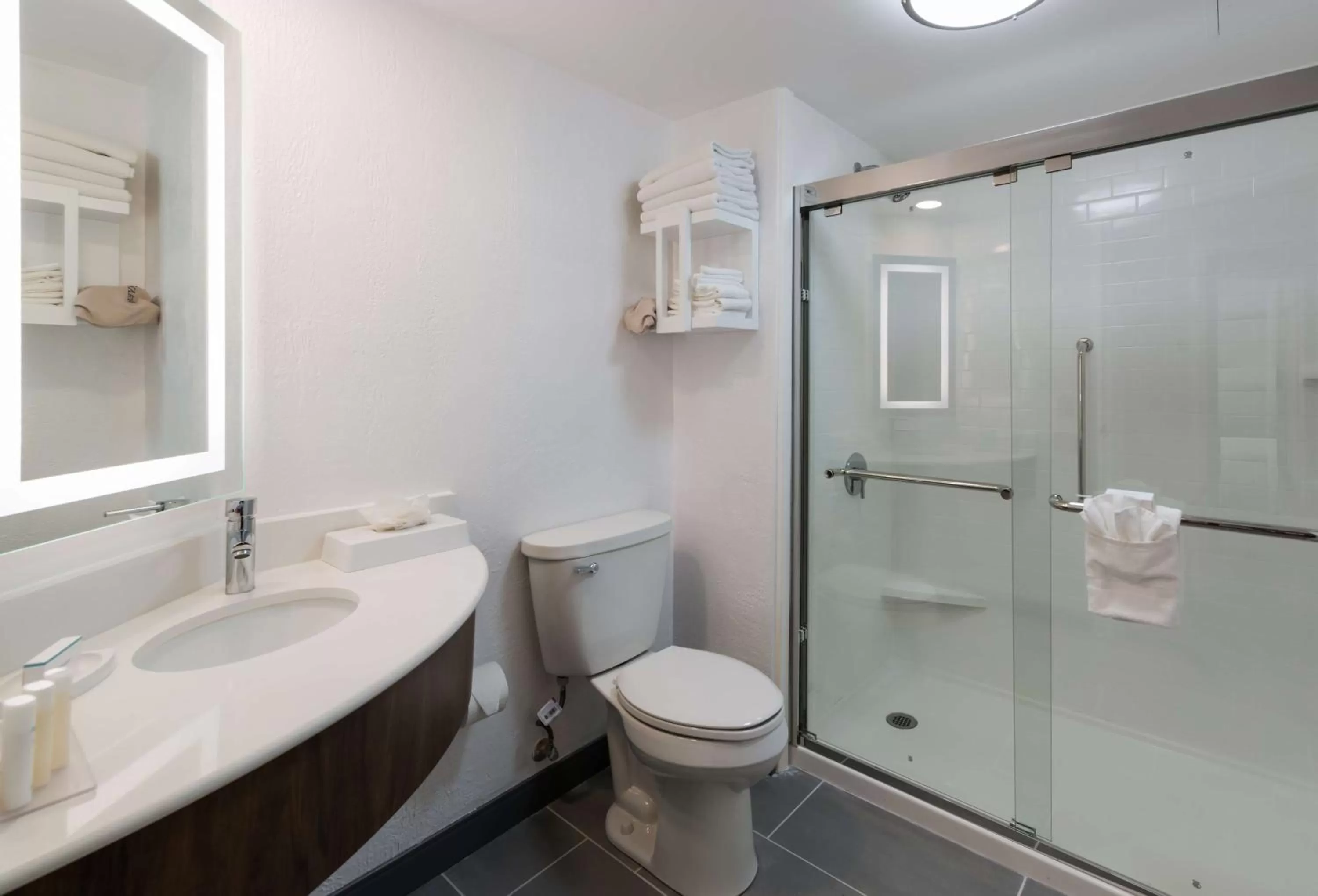 Bathroom in Hampton Inn & Suites Chicago-Hoffman Estates