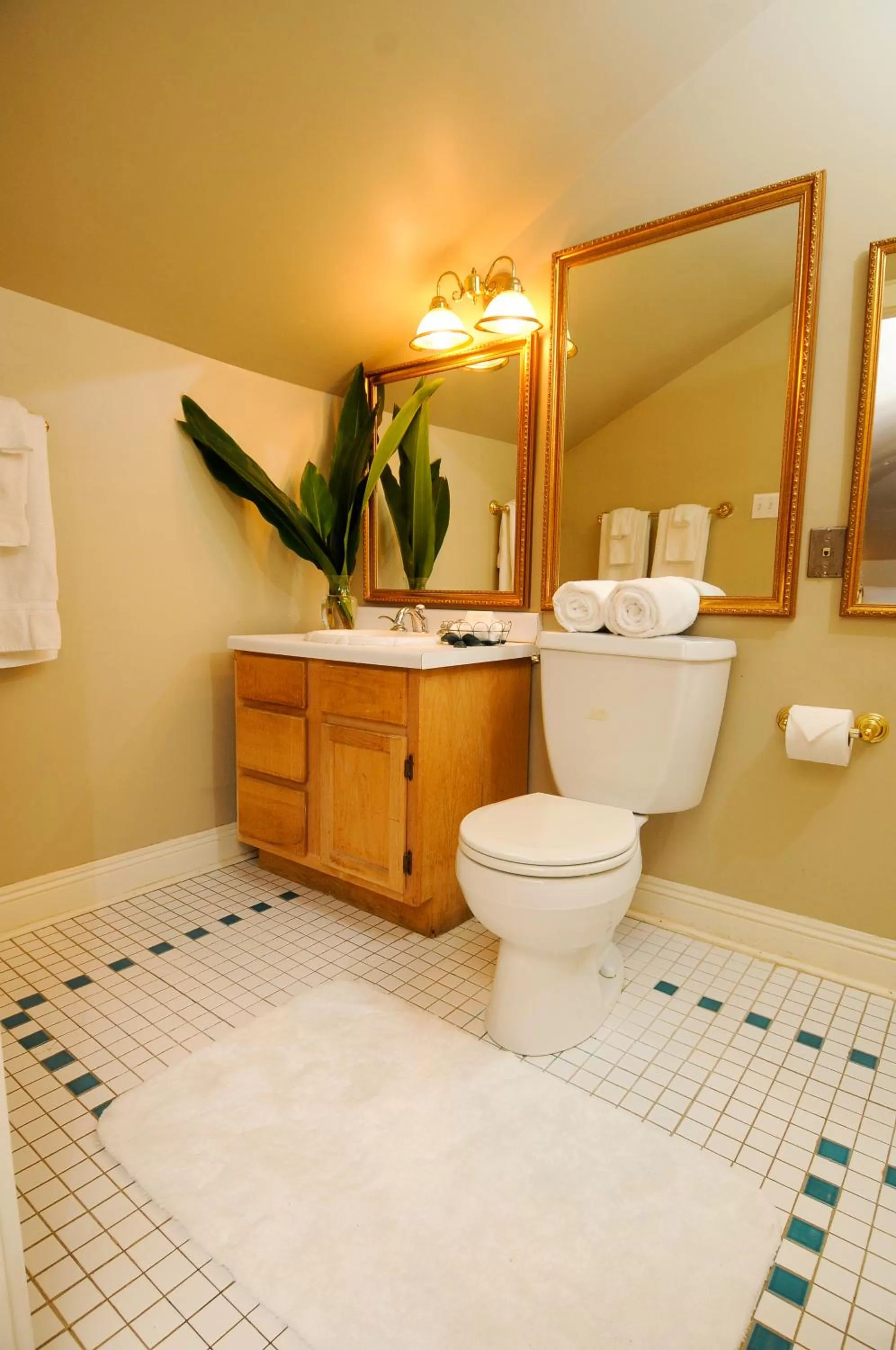 Bathroom in Edgar Degas House Historic Home and Museum