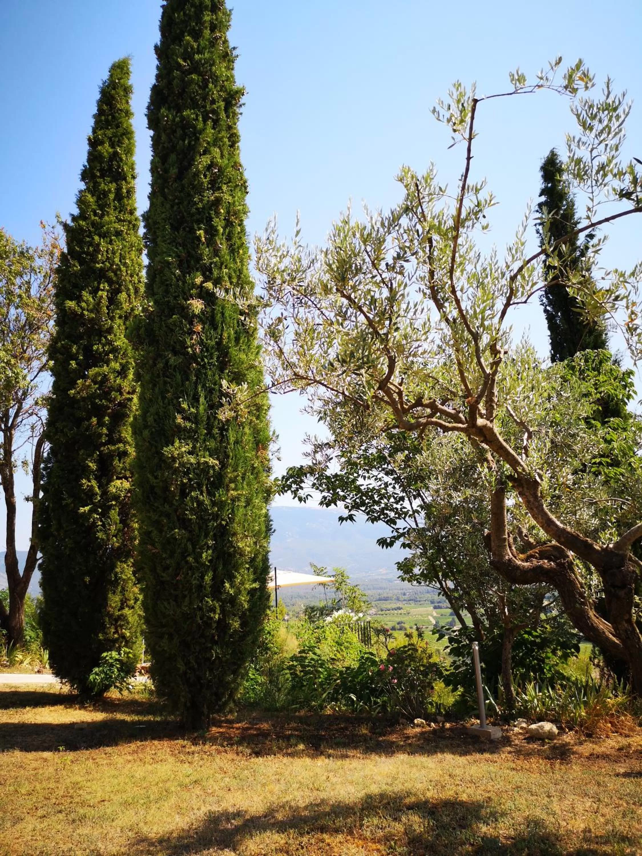 Garden view in La Bastide du Limon