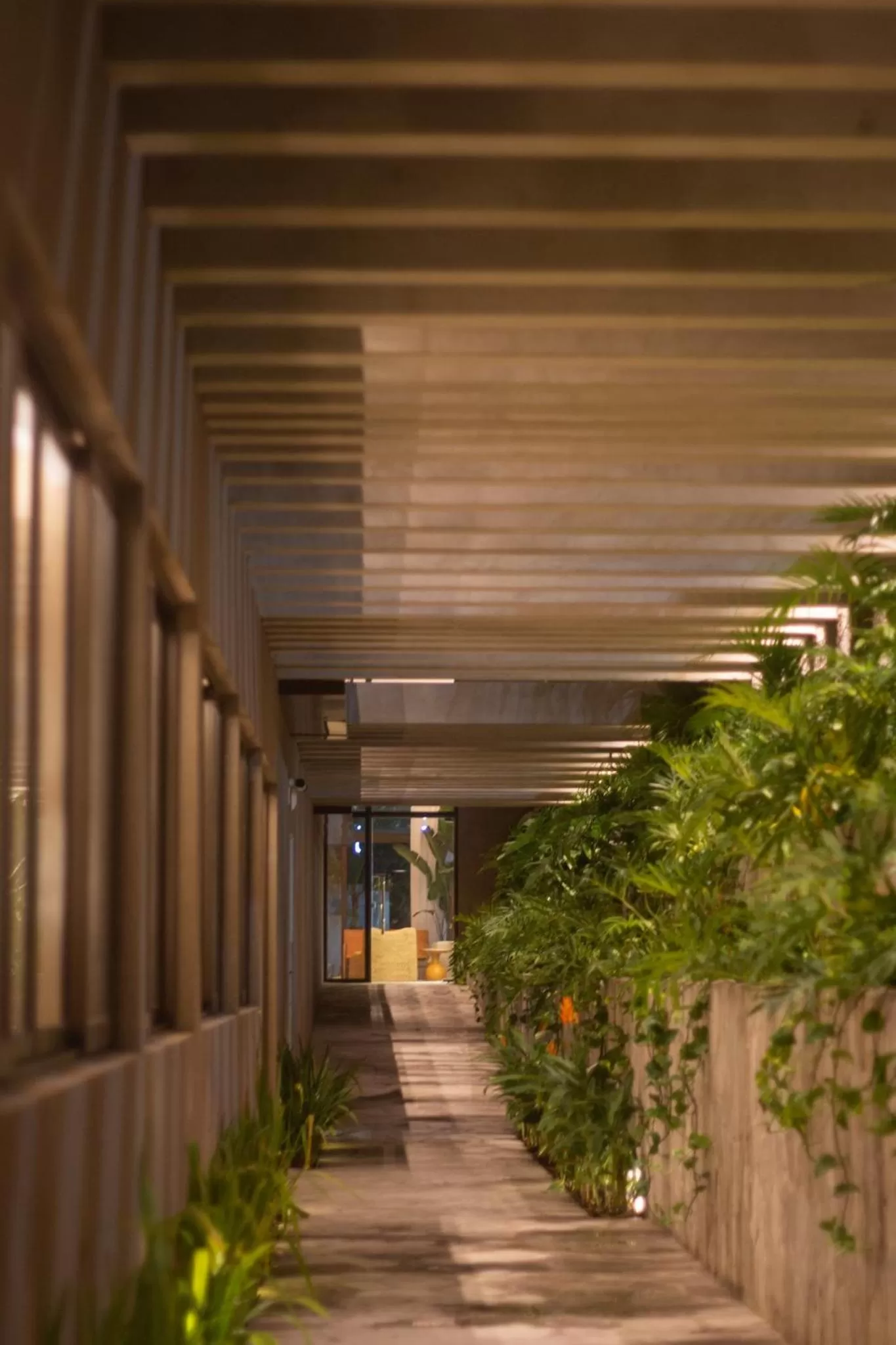 Night in Tintto Hotel