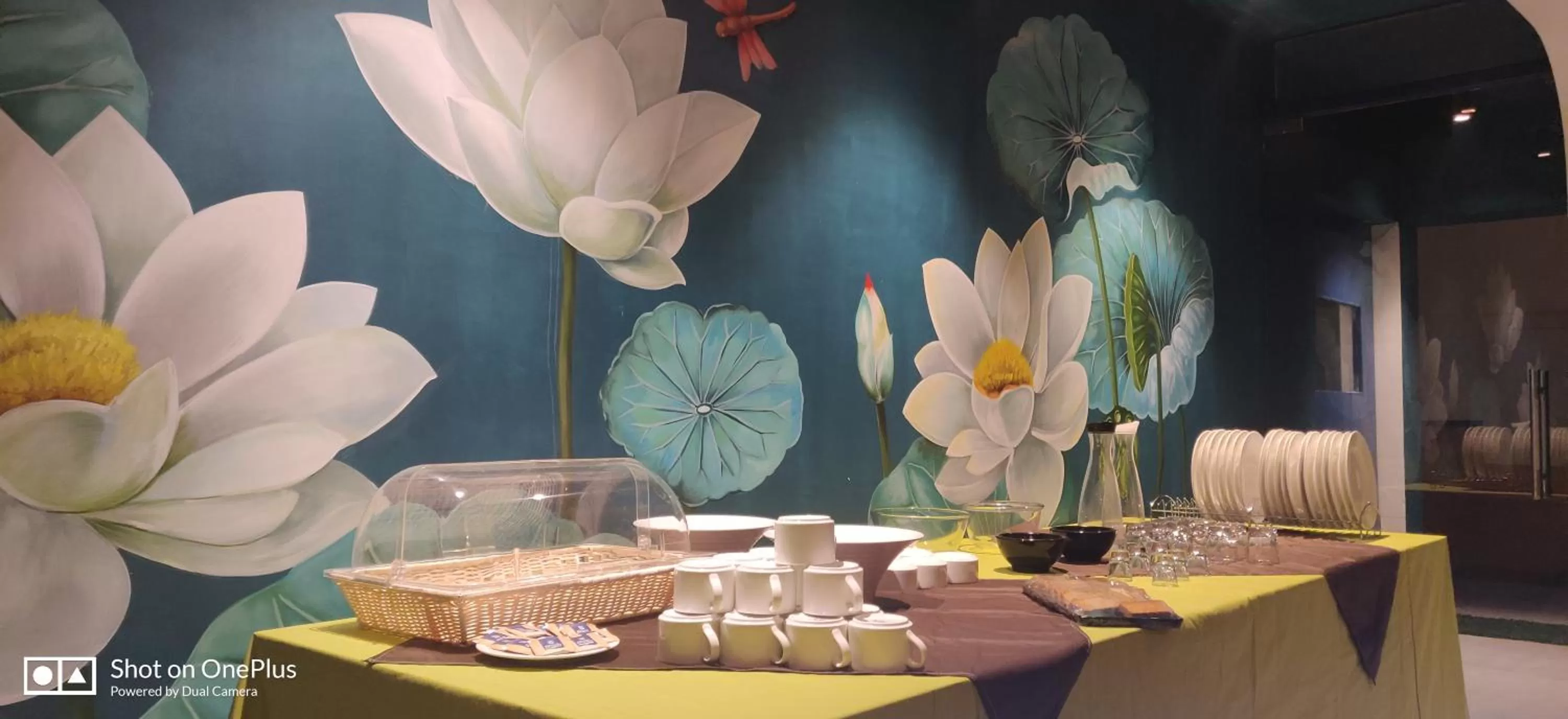 Swimming pool in Casa Blanca Lakecity