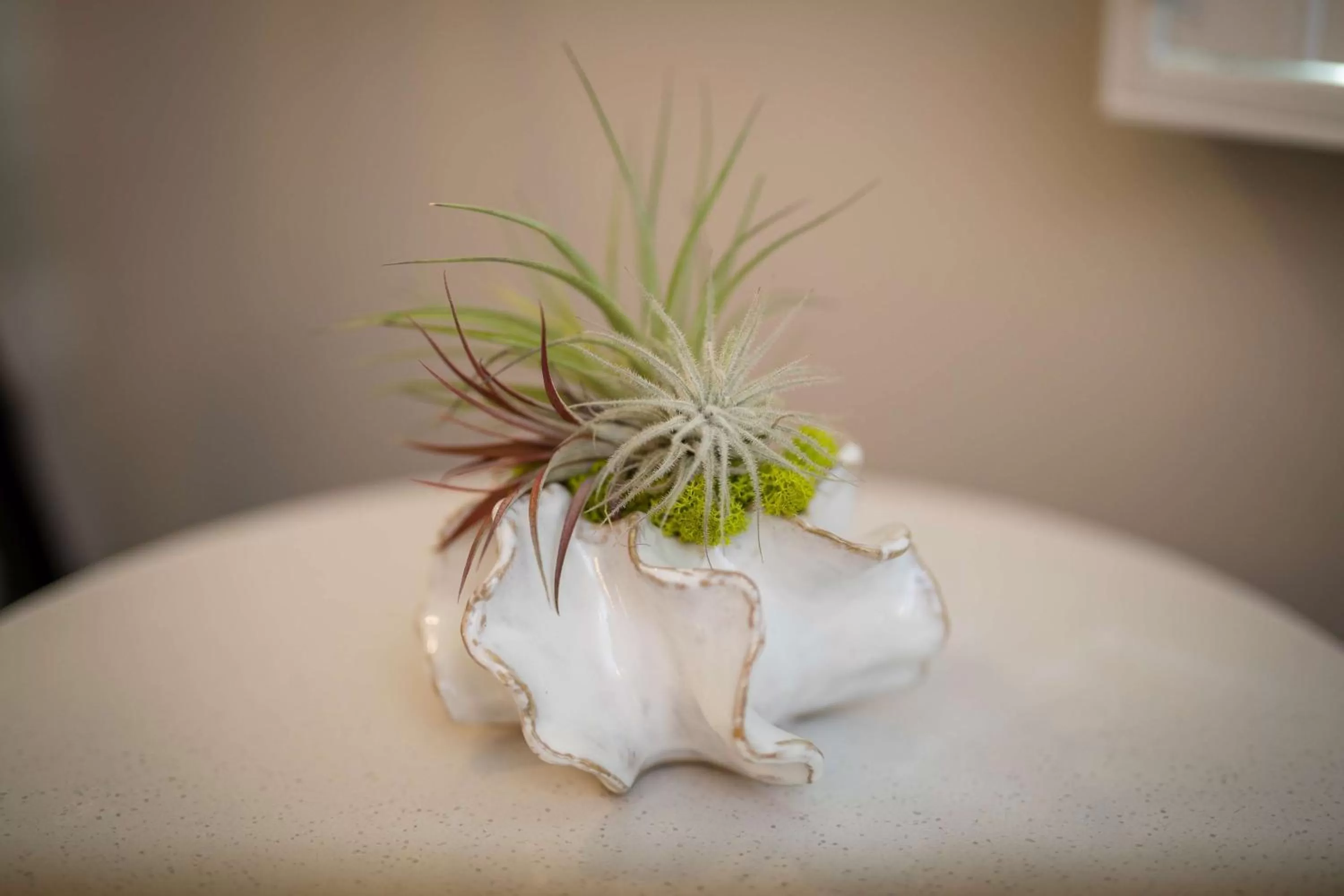 King Room with Roll-In Shower - Disability Access in Aristocrat Hotel, BW Signature Collection