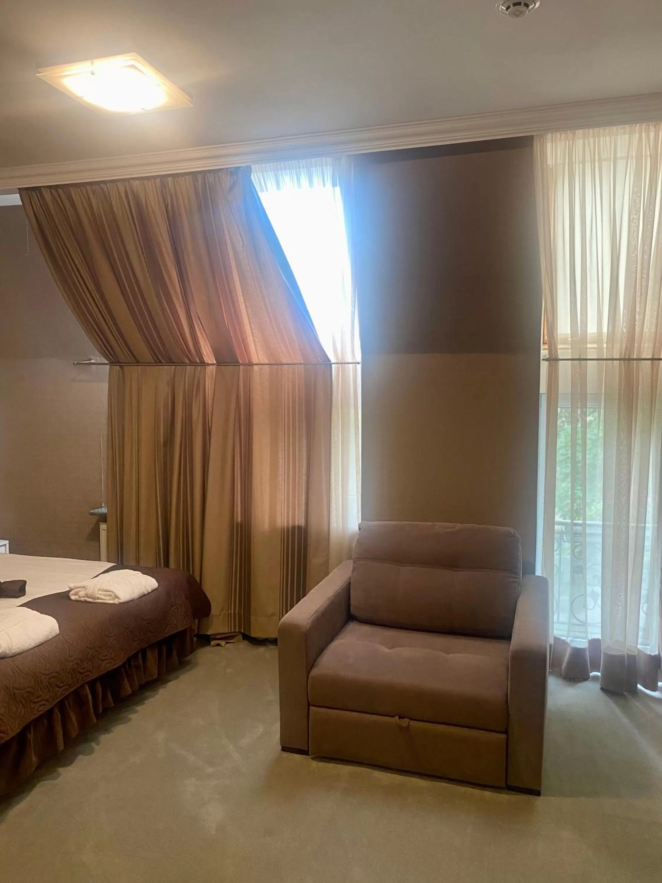 Photo of the whole room, Seating Area in Boutique Hotel Deluxe