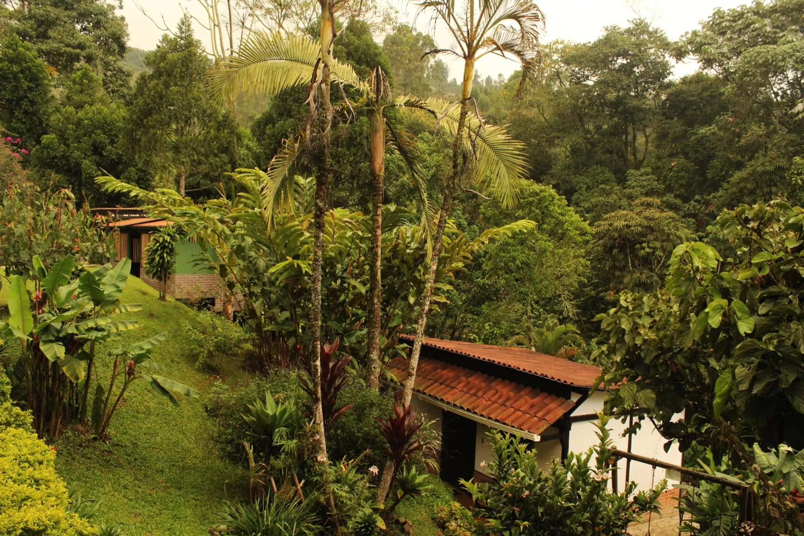 Natural landscape in Hotel Vísperas