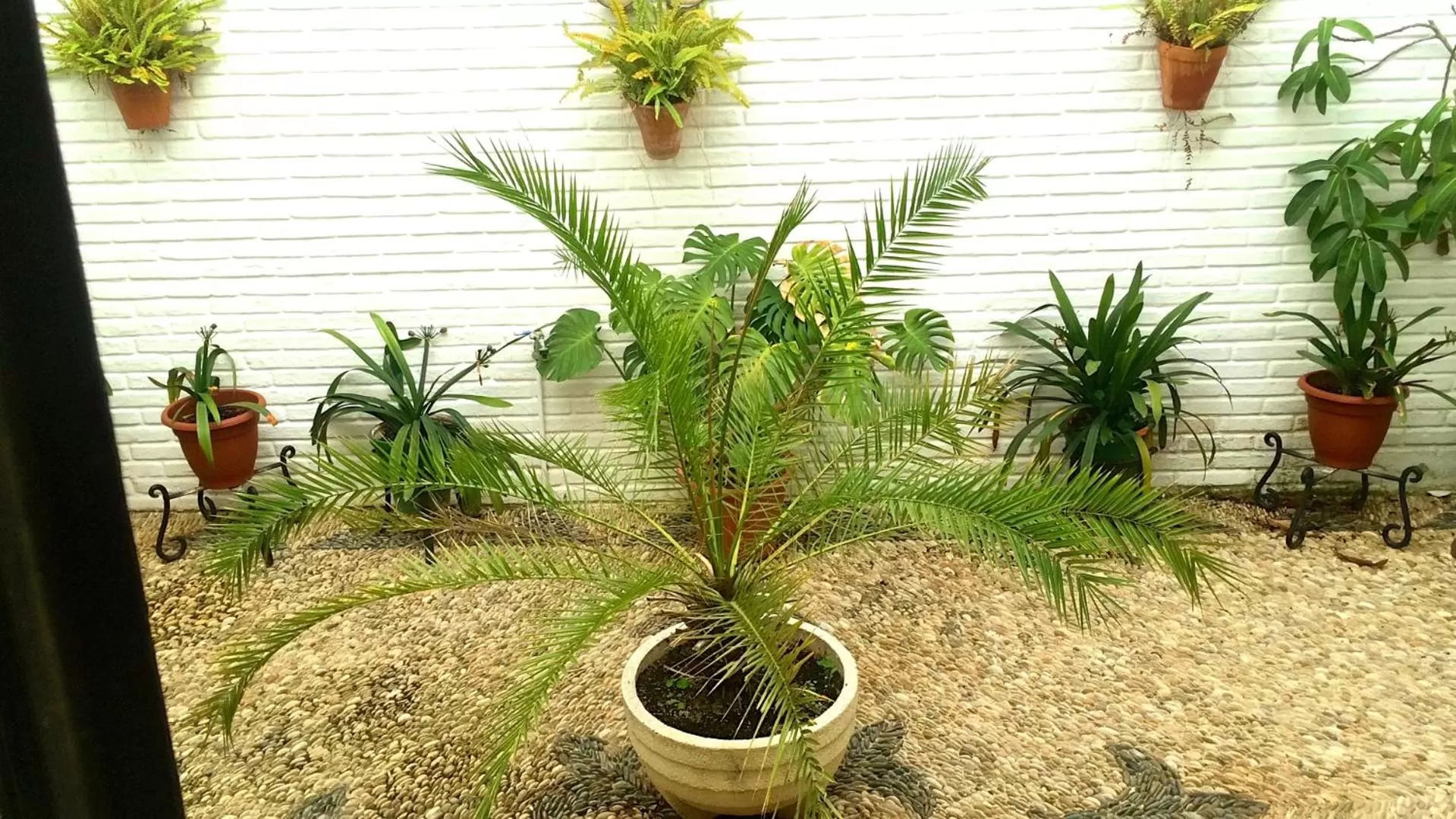 Patio in Hotel Marisa