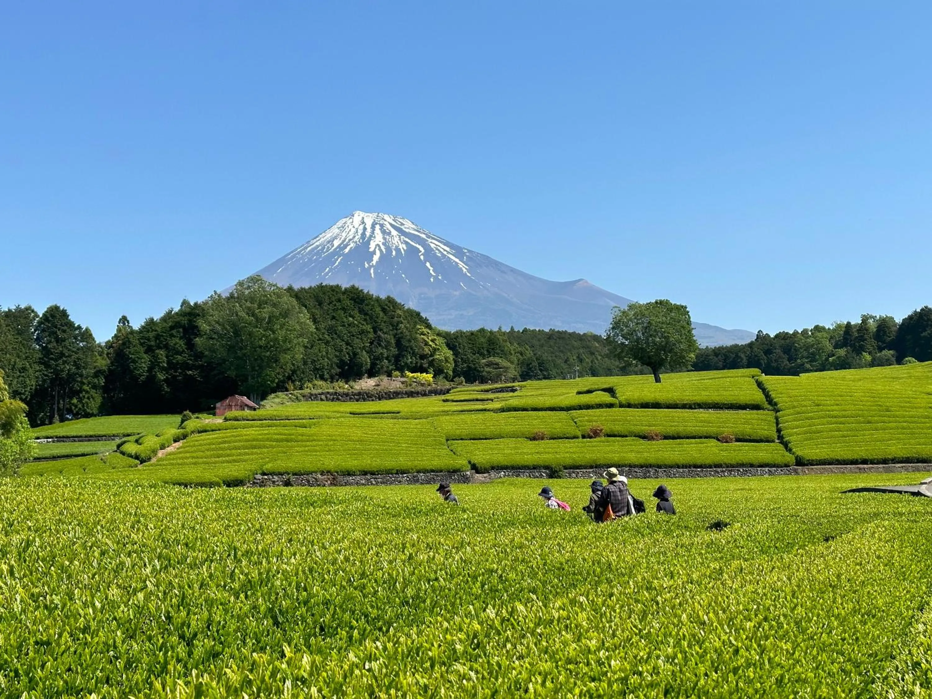 Nearby landmark in Fuji Speedway Hotel, in The Unbound Collection by Hyatt