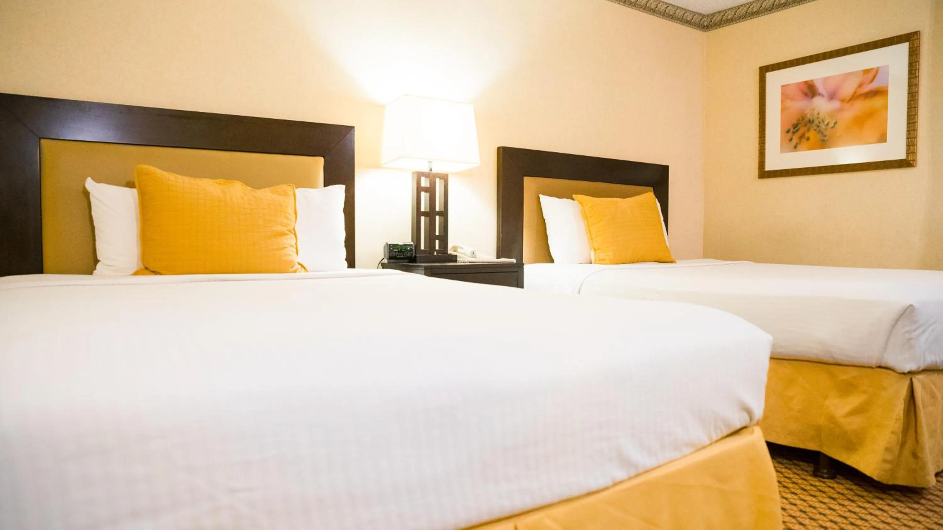 Bed in Motel 6 - Anaheim Hills, CA