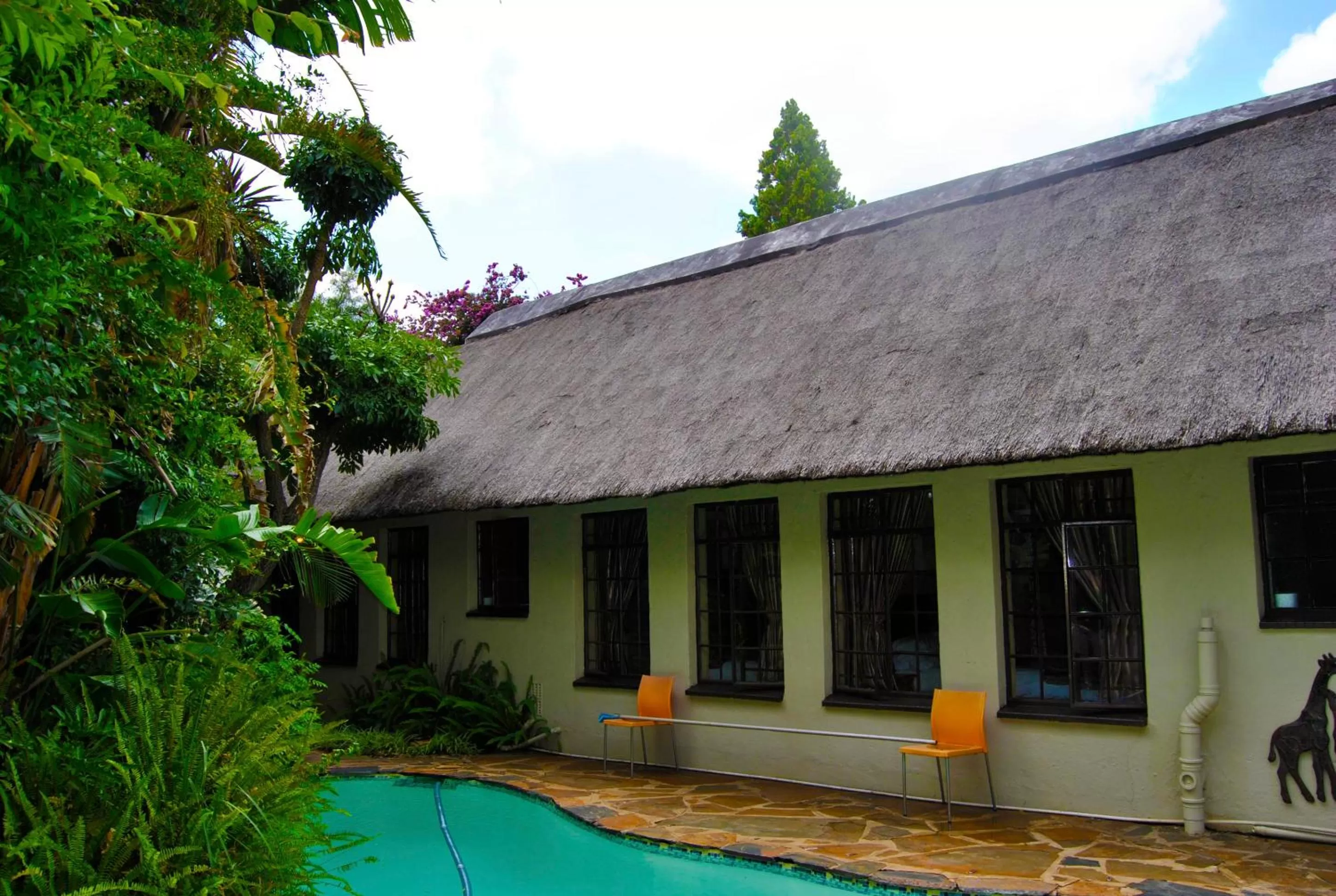 Garden in Birch Tree Cottage