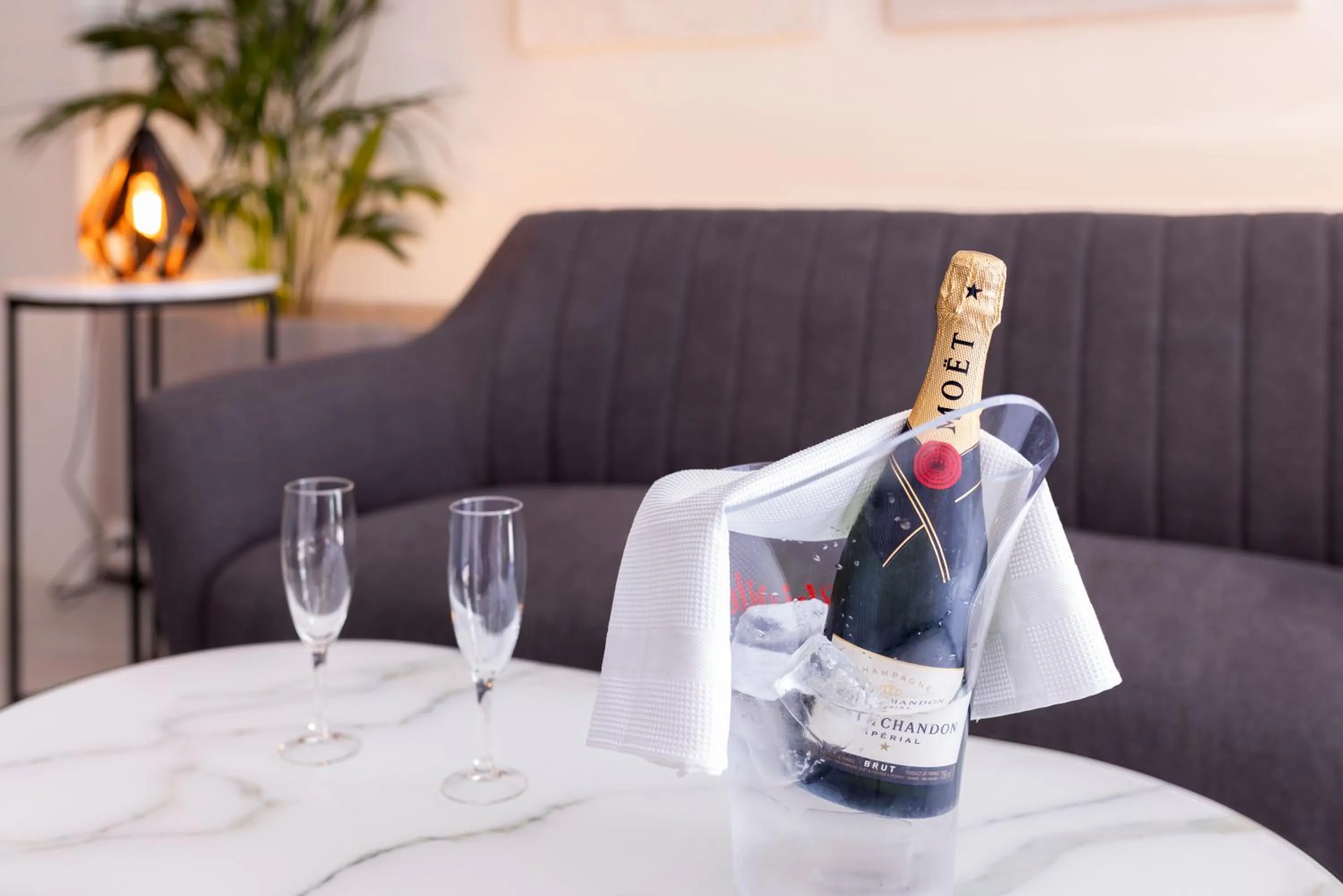 Drinks in Alfons Hotel