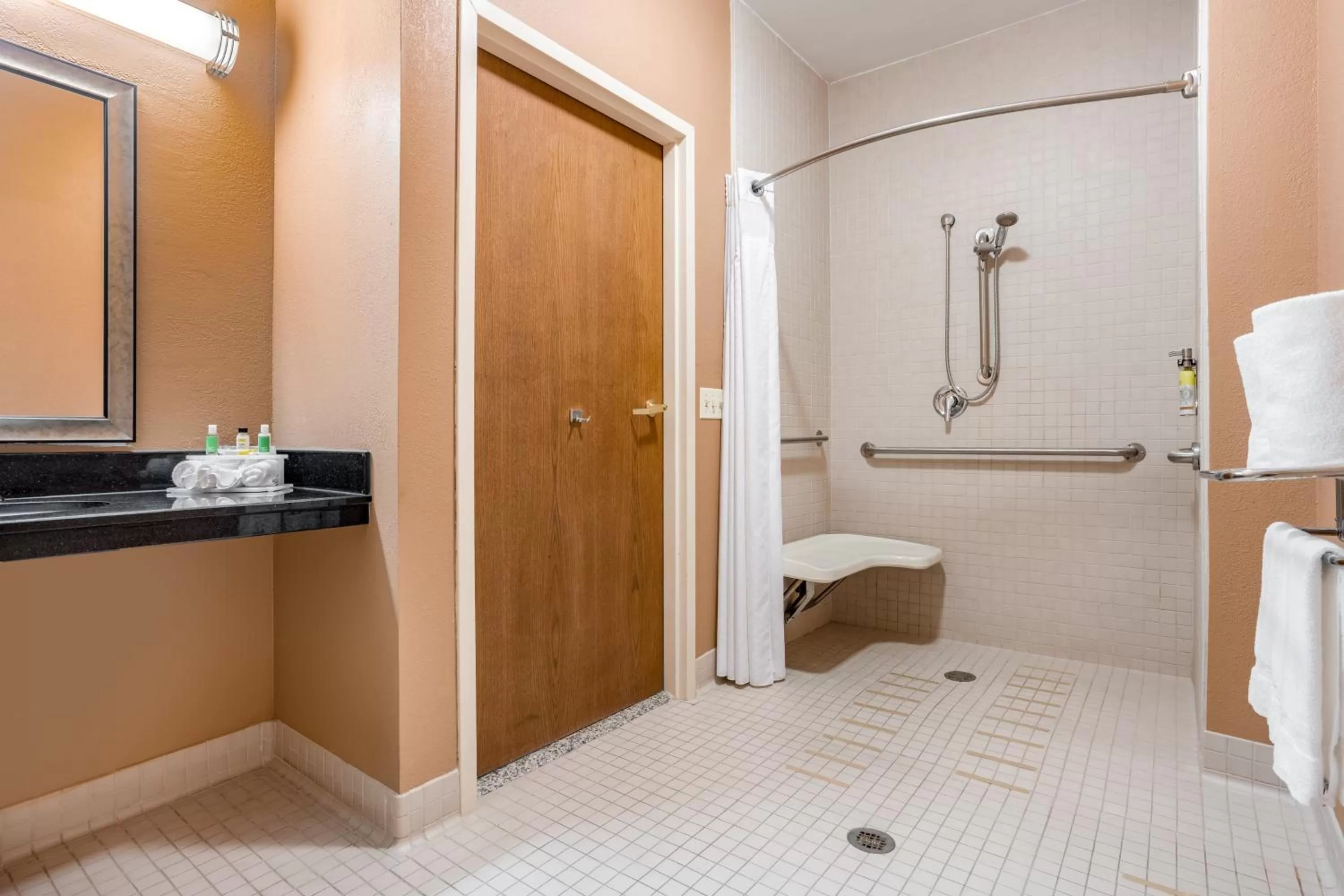 Bathroom in Holiday Inn Express Hotel & Suites Canton by IHG