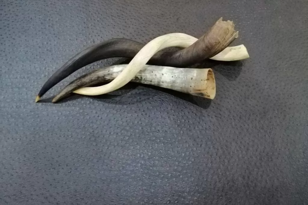 Mapungubwe Hotel Apartments Marshalltown