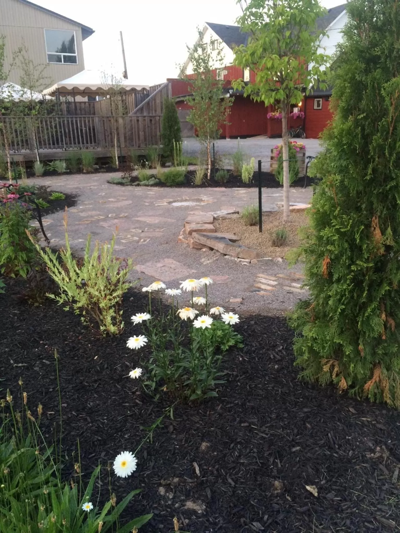 Garden in Dominion Hotel