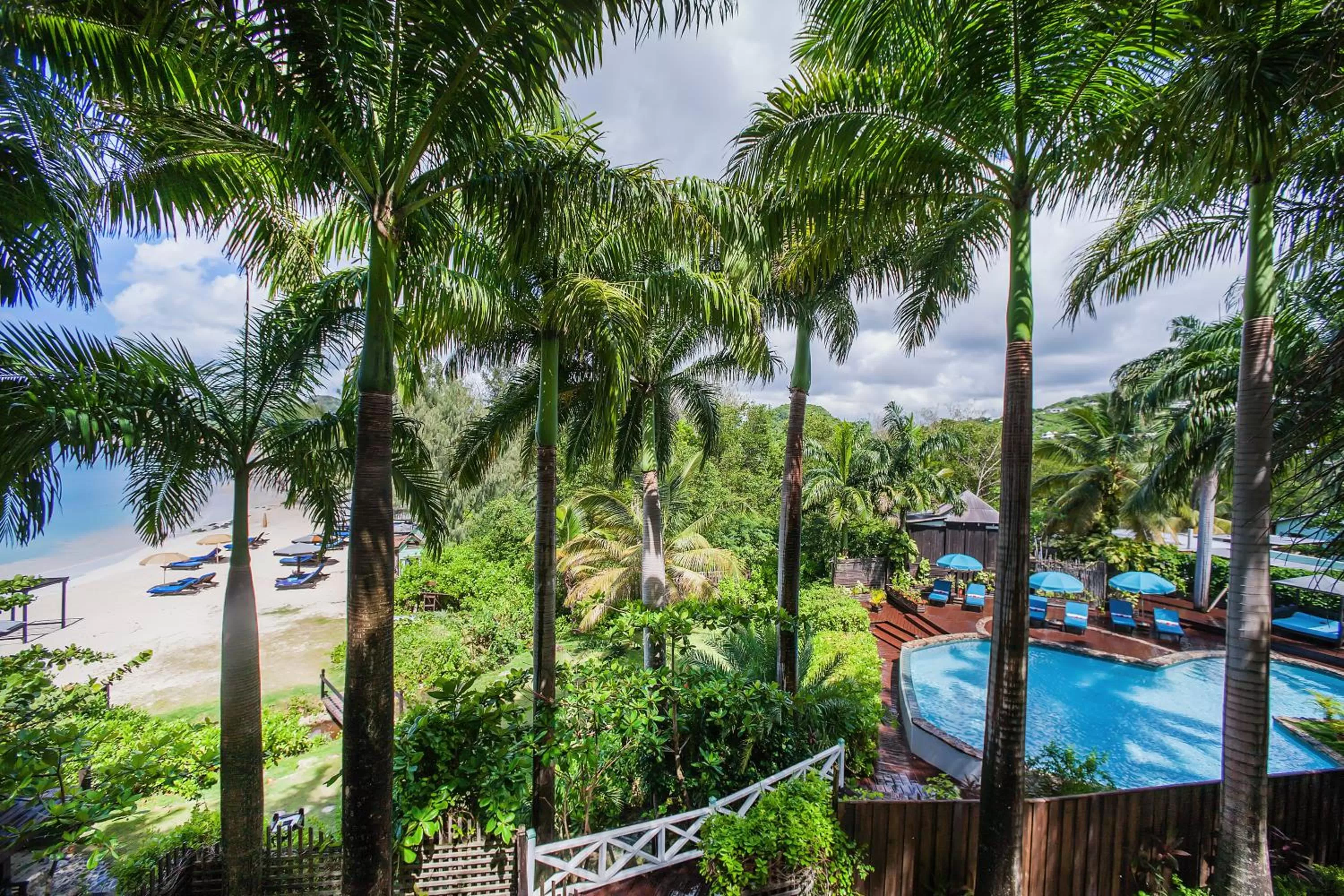 Swimming pool in COCOS Hotel Antigua - All Inclusive - Adults Only