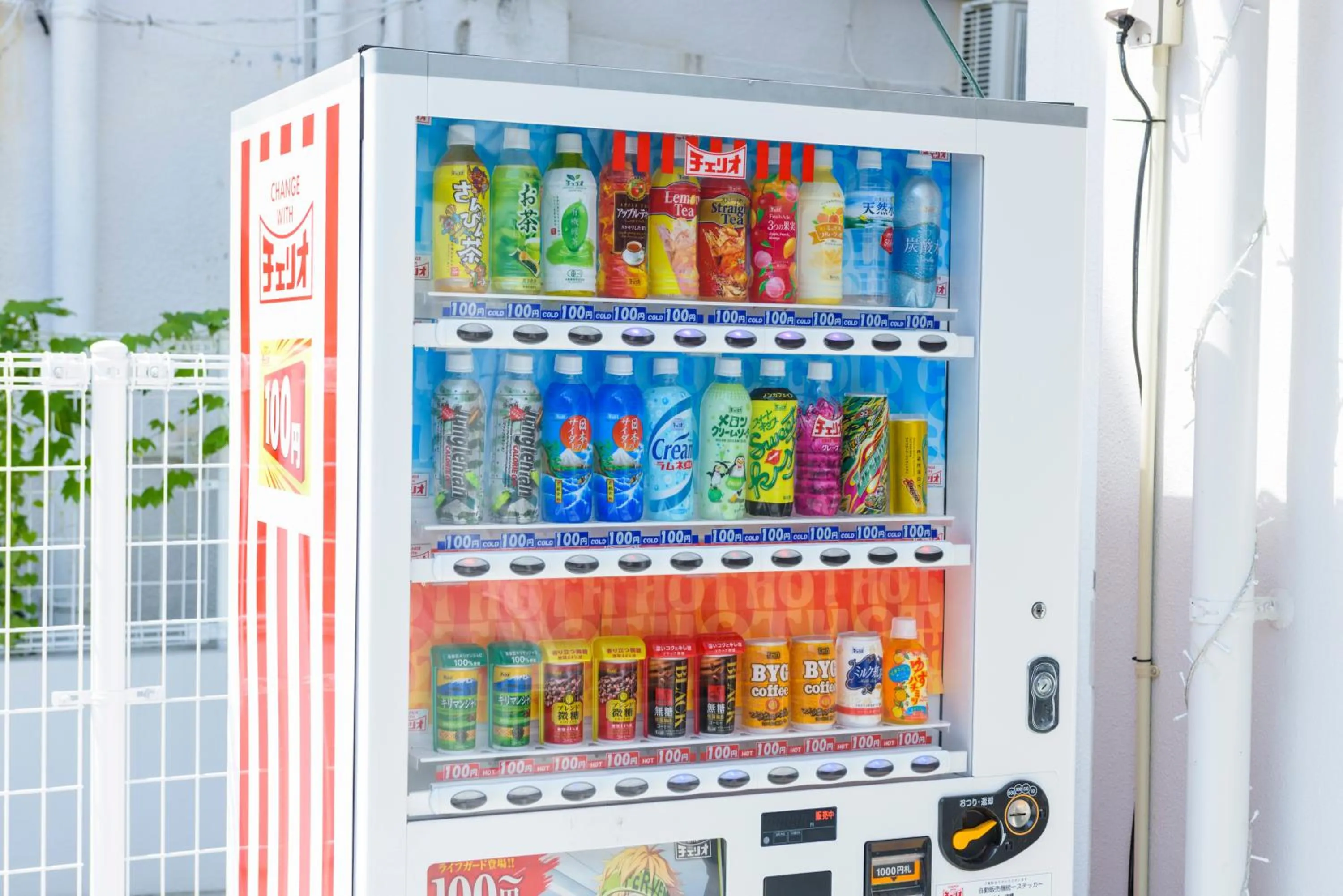 Drinks in Mr. Kinjo in MIHARA