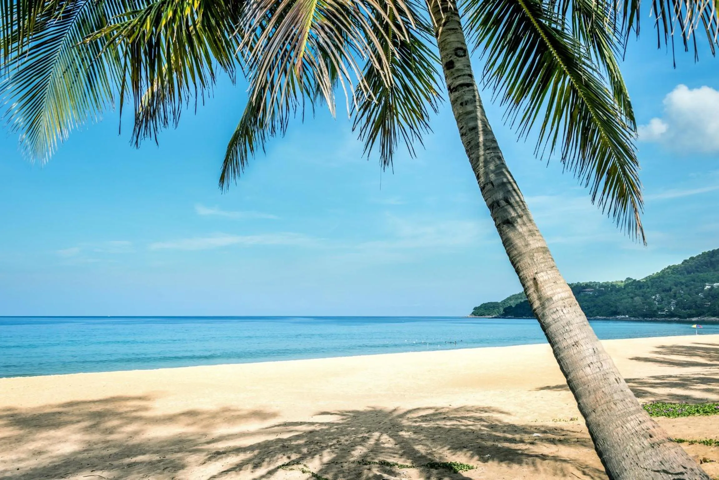 Beach in Destination Resorts Phuket Karon Beach - SHA Extra Plus