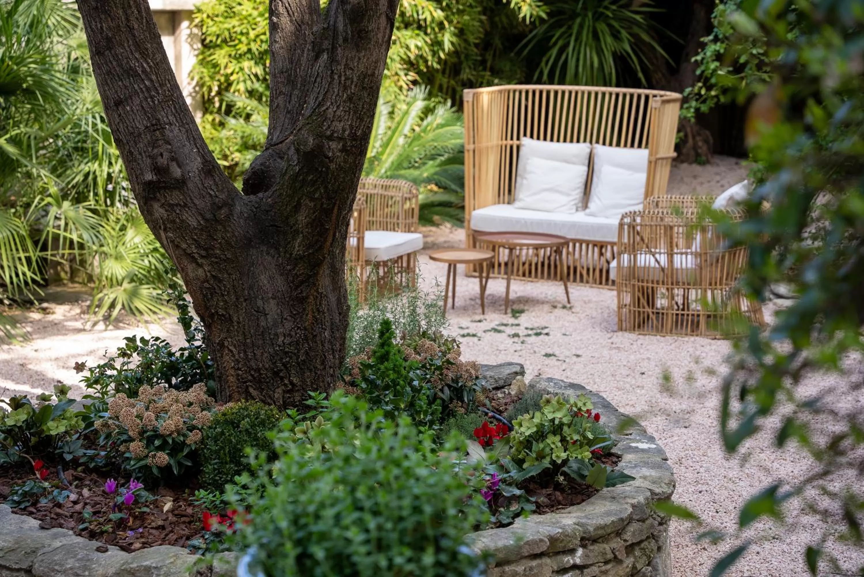 Garden in Le Clos Violette et Le 11 D'Aglaé - Hôtel de Charme Design de Luxe