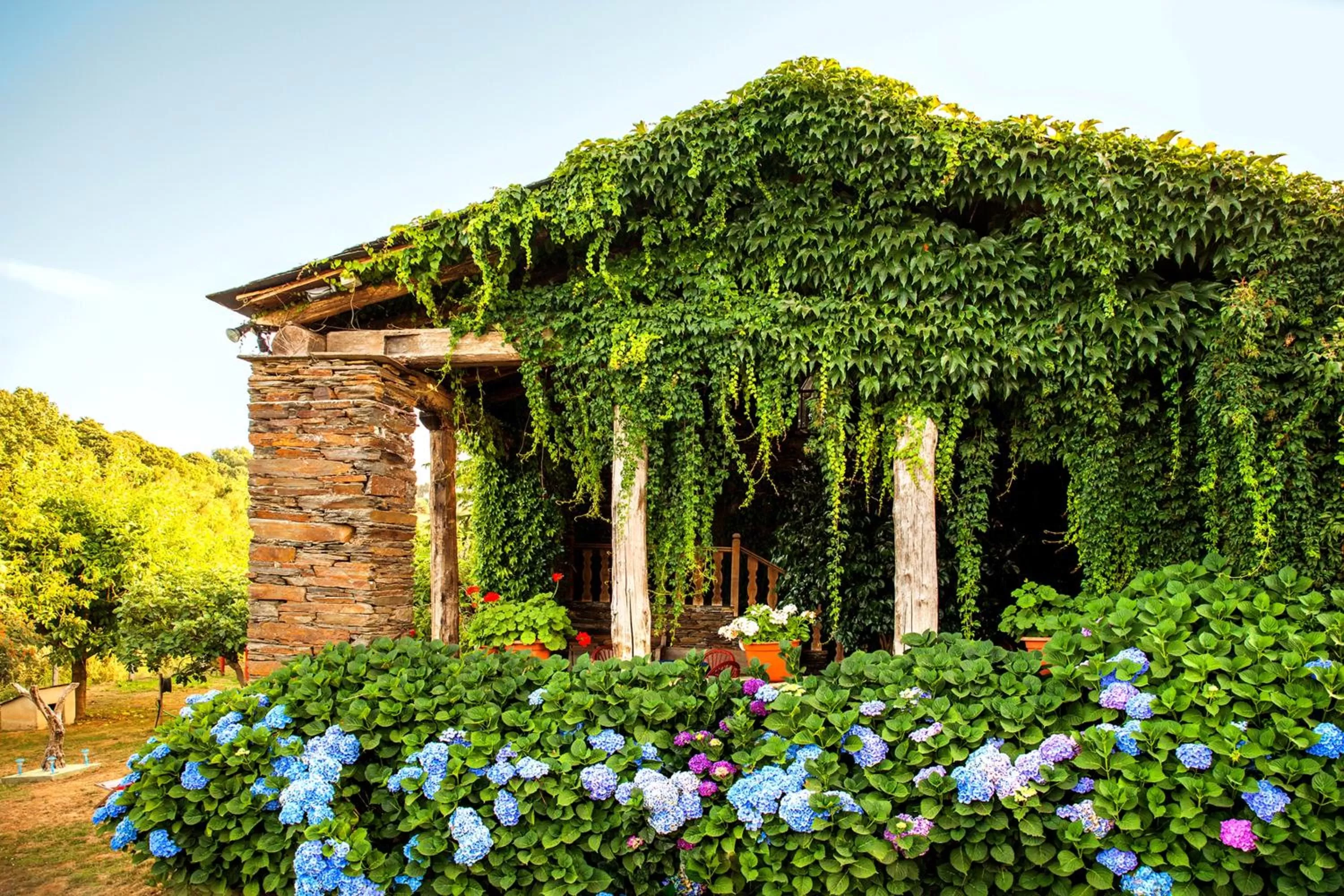 Garden view, Garden in Hotel Casa de Díaz