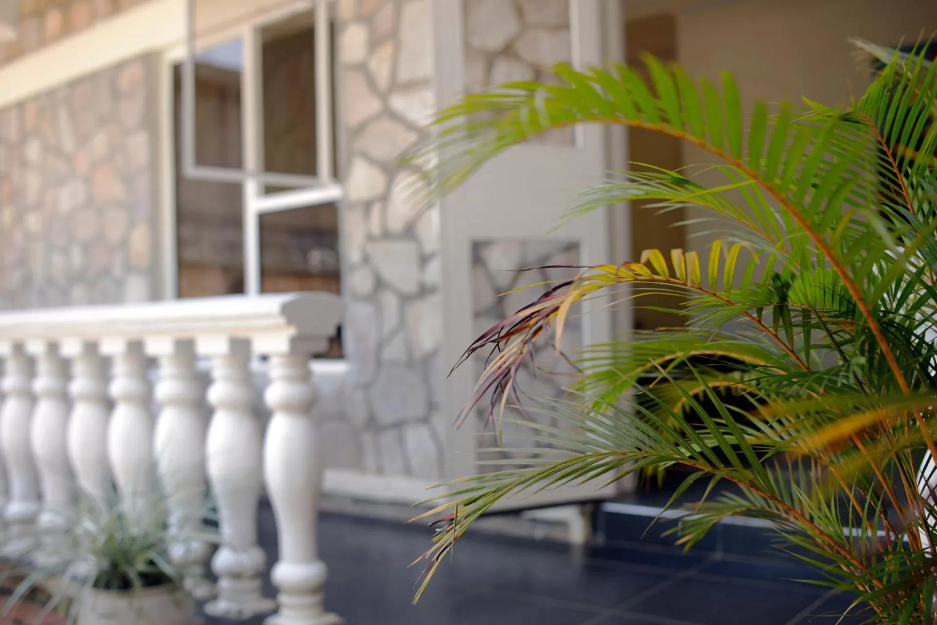 View (from property/room) in Entebbe Palm Hotel